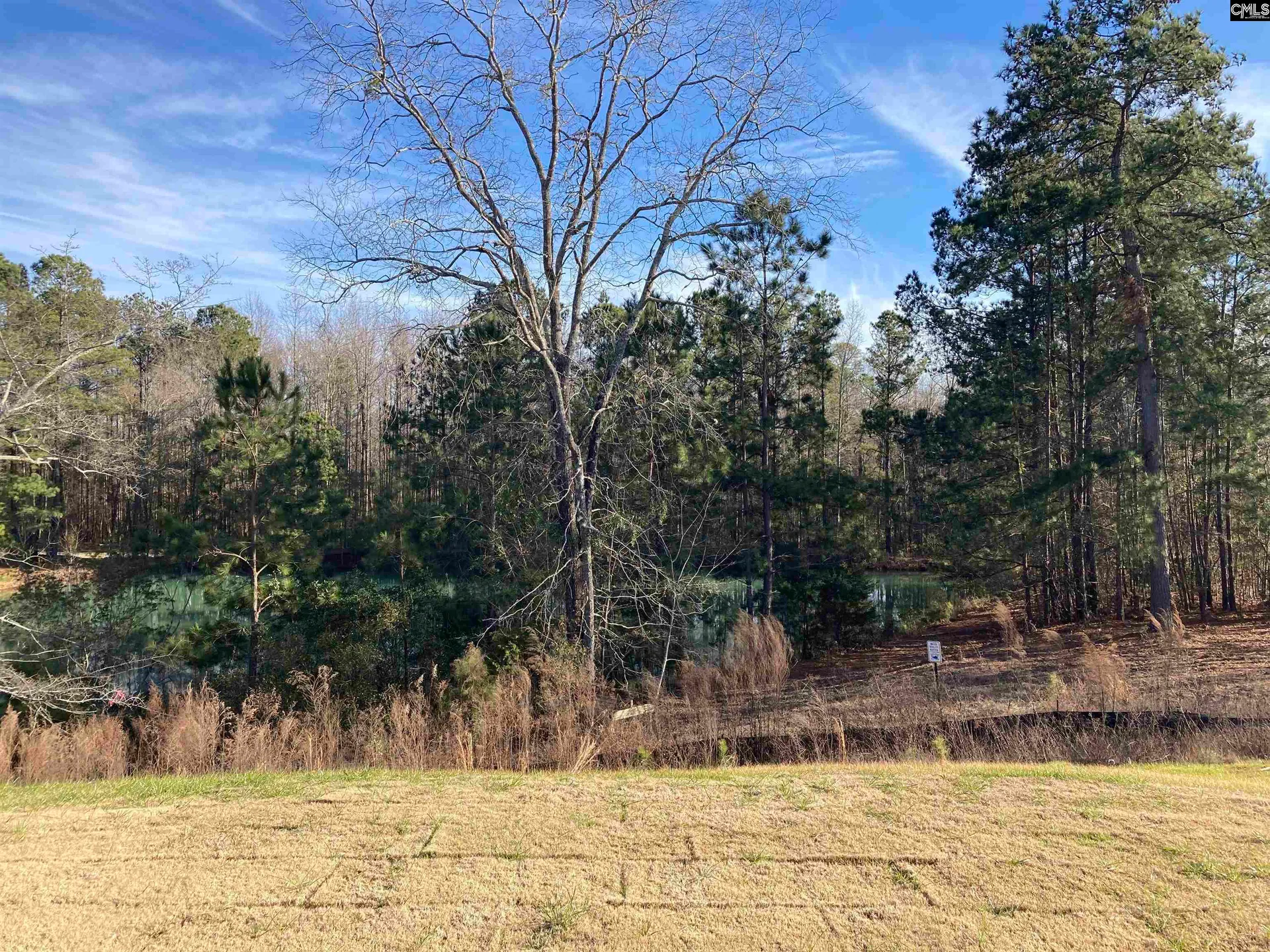 Property image 2 at 1684 Hidden Garden Lane, Gilbert, SC 29054