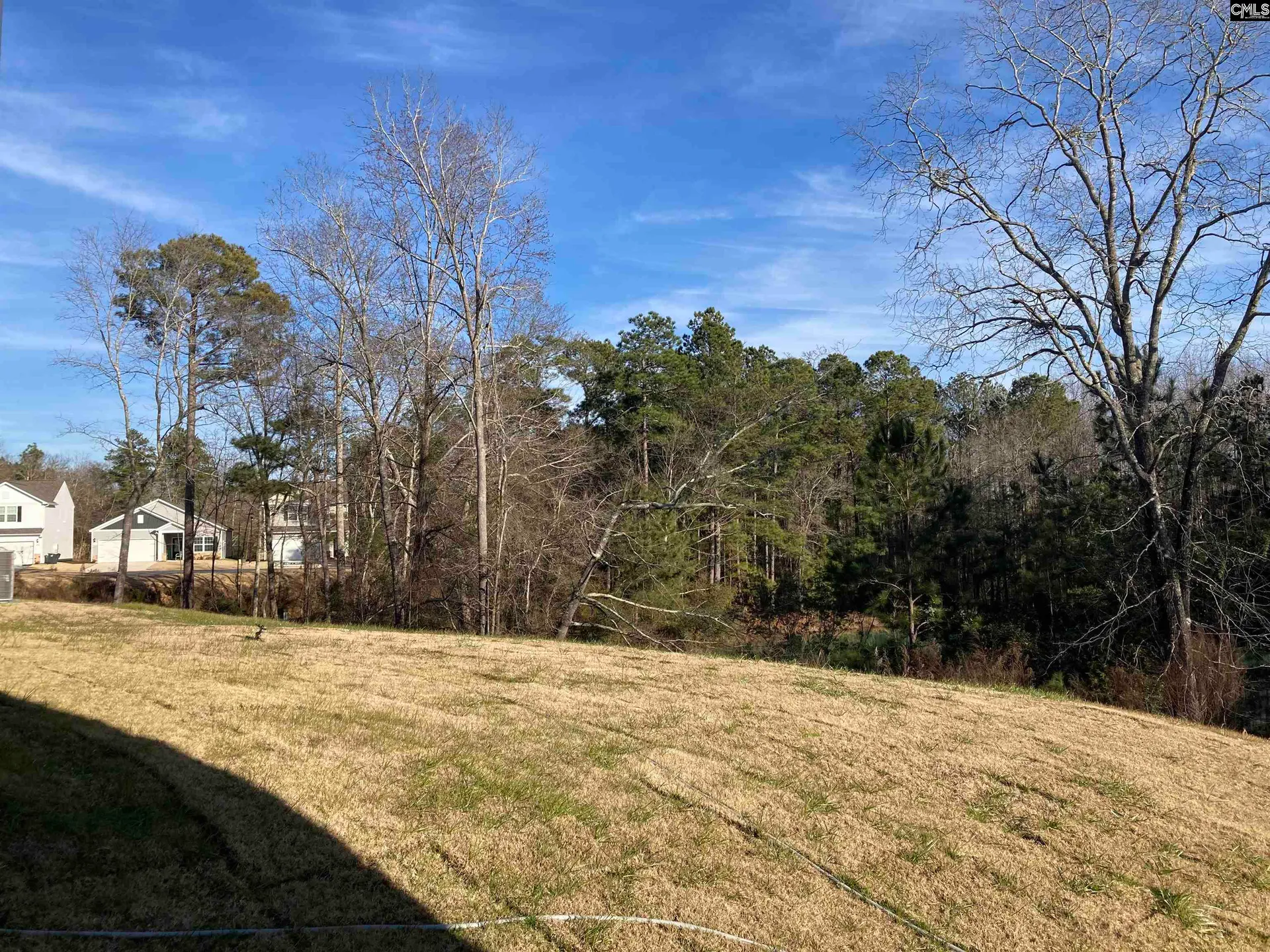 Property image 3 at 1684 Hidden Garden Lane, Gilbert, SC 29054