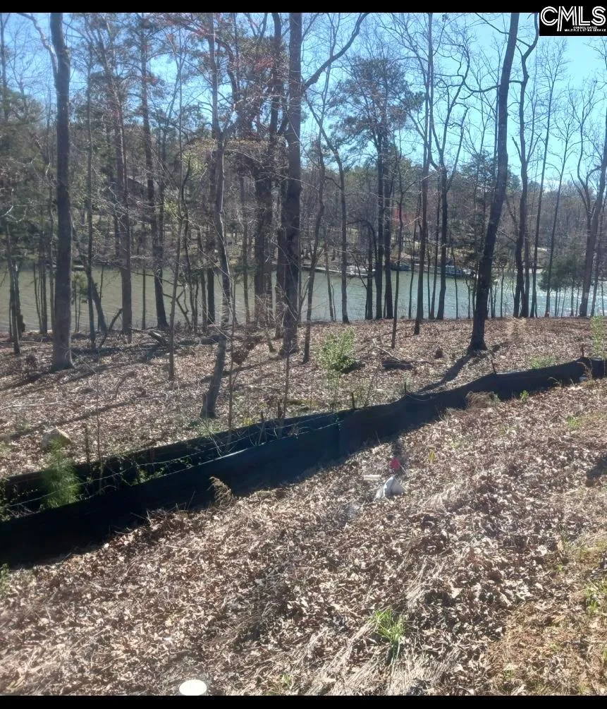 Property image 3 at 1061 Refuge Place, Chapin, SC 29036