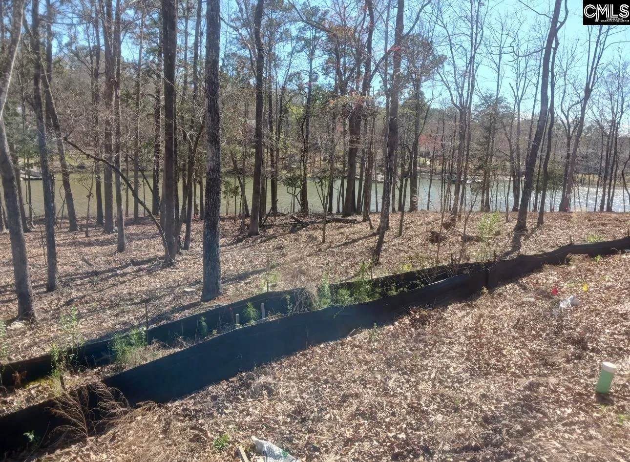 Property image 4 at 1061 Refuge Place, Chapin, SC 29036