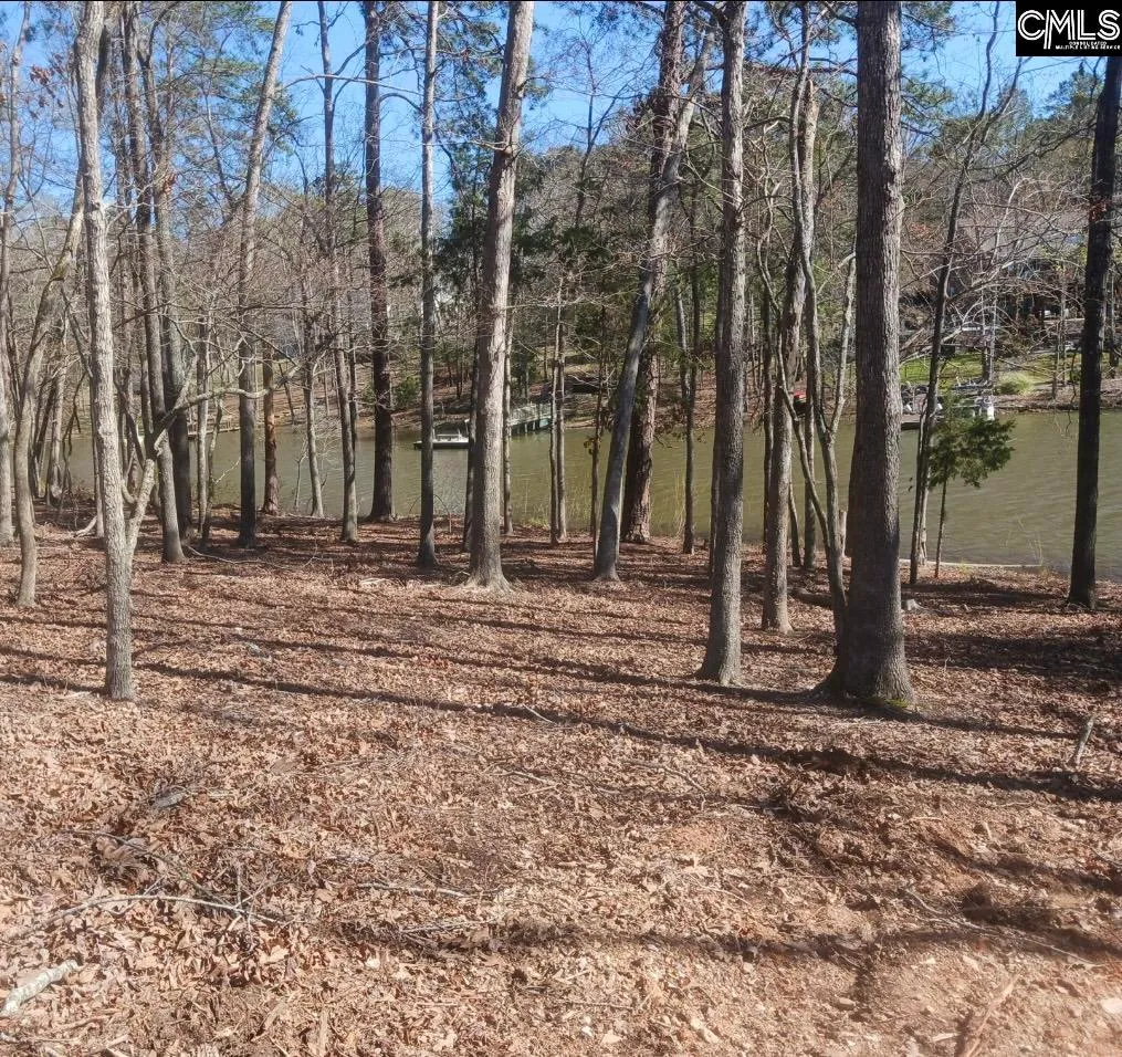 Property image 5 at 1061 Refuge Place, Chapin, SC 29036