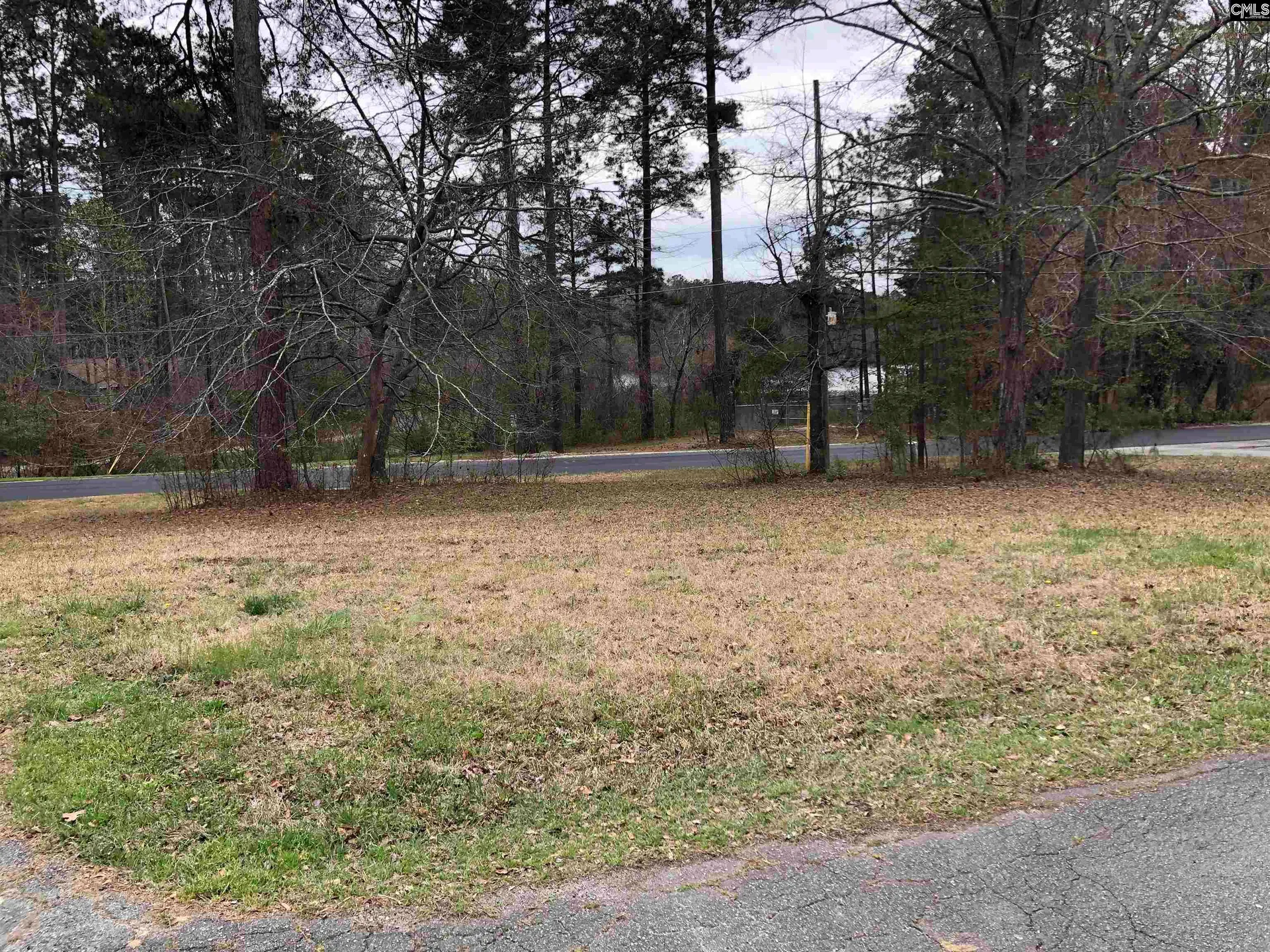 Property image 3 at 2 Fairway Ln, Blythewood, SC 29016