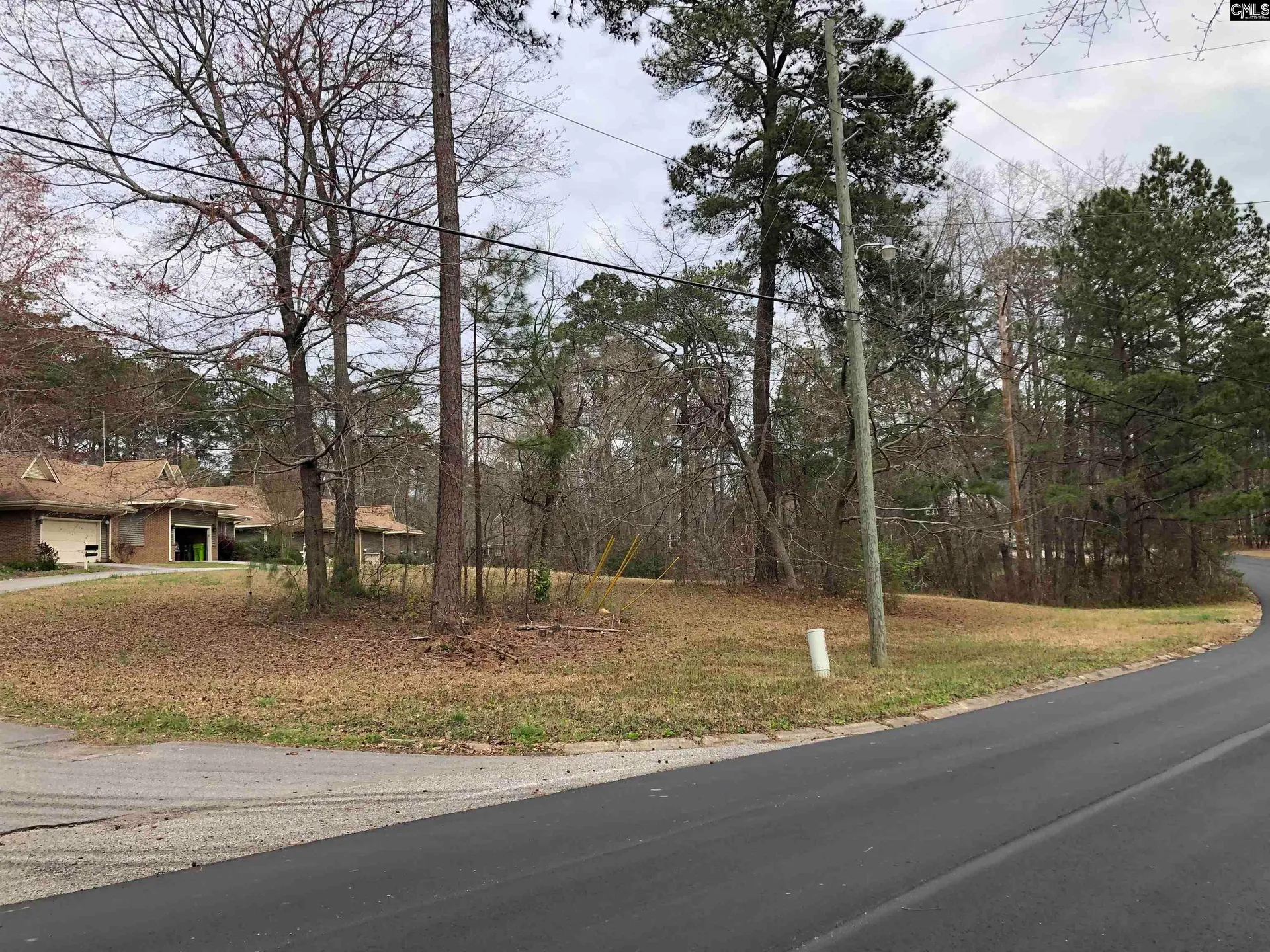 Property image 4 at 2 Fairway Ln, Blythewood, SC 29016