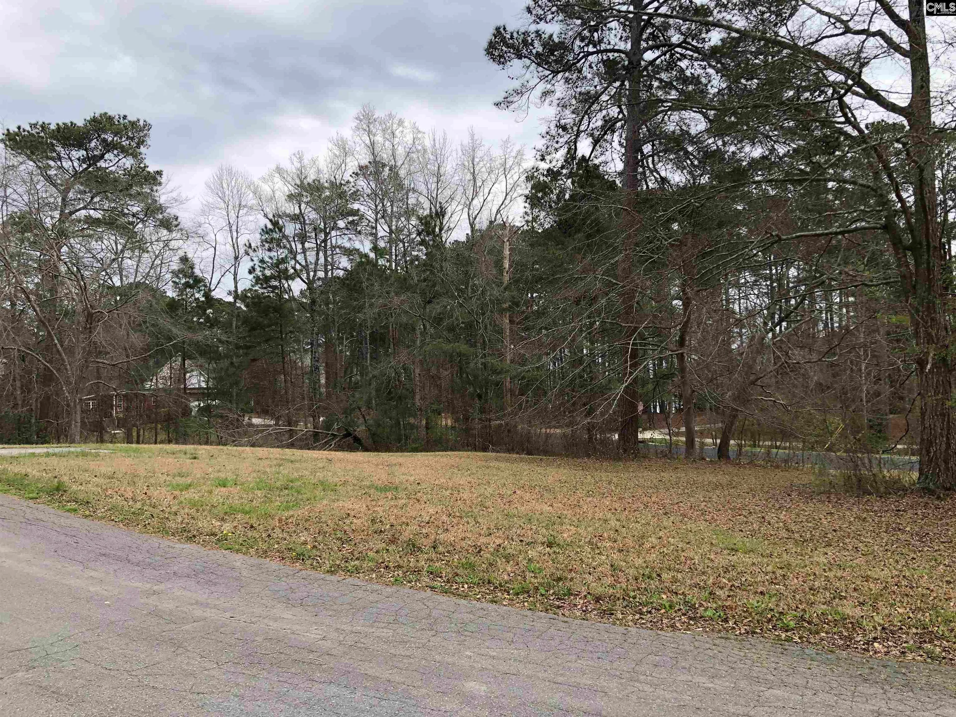 Property image 3 at 4 Fairway Ln, Blythewood, SC 29016