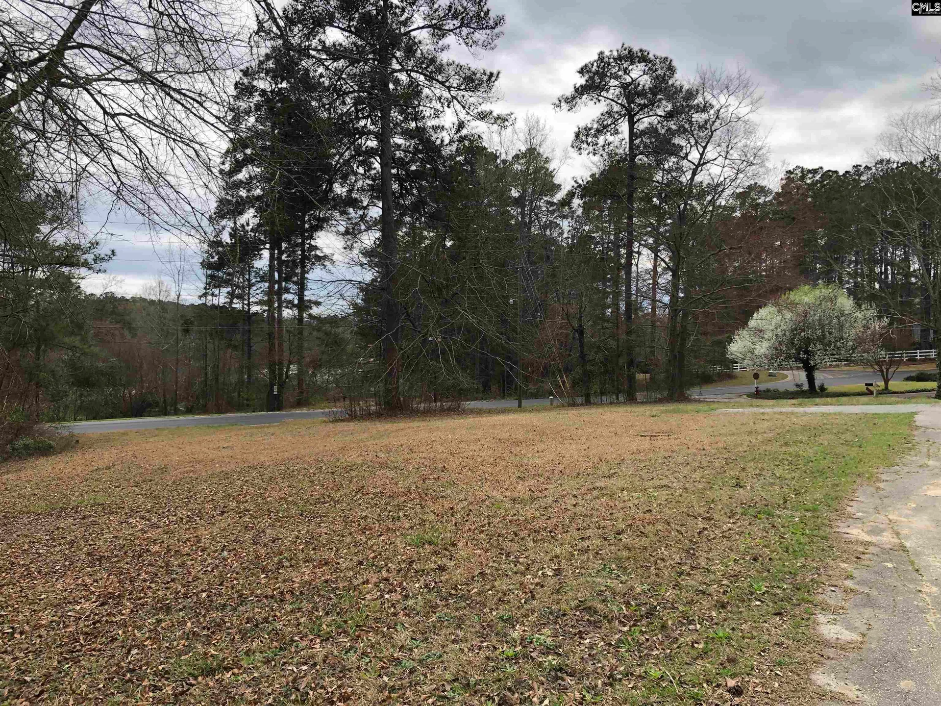 Property image 3 at 6 Fairway Ln, Blythewood, SC 29016