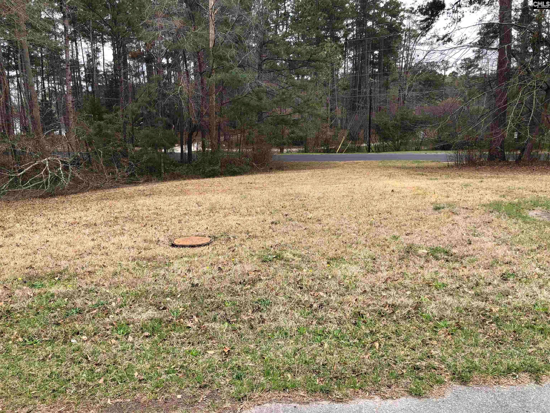 Property image 3 at 8 Fairway Ln, Blythewood, SC 29016