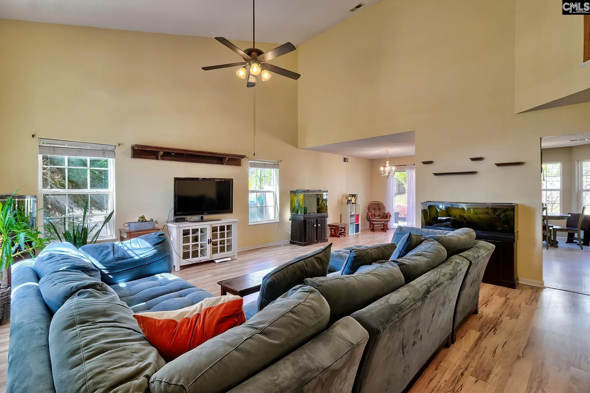 Property image 4 at 228 Walkbridge Way, Chapin, SC 29036