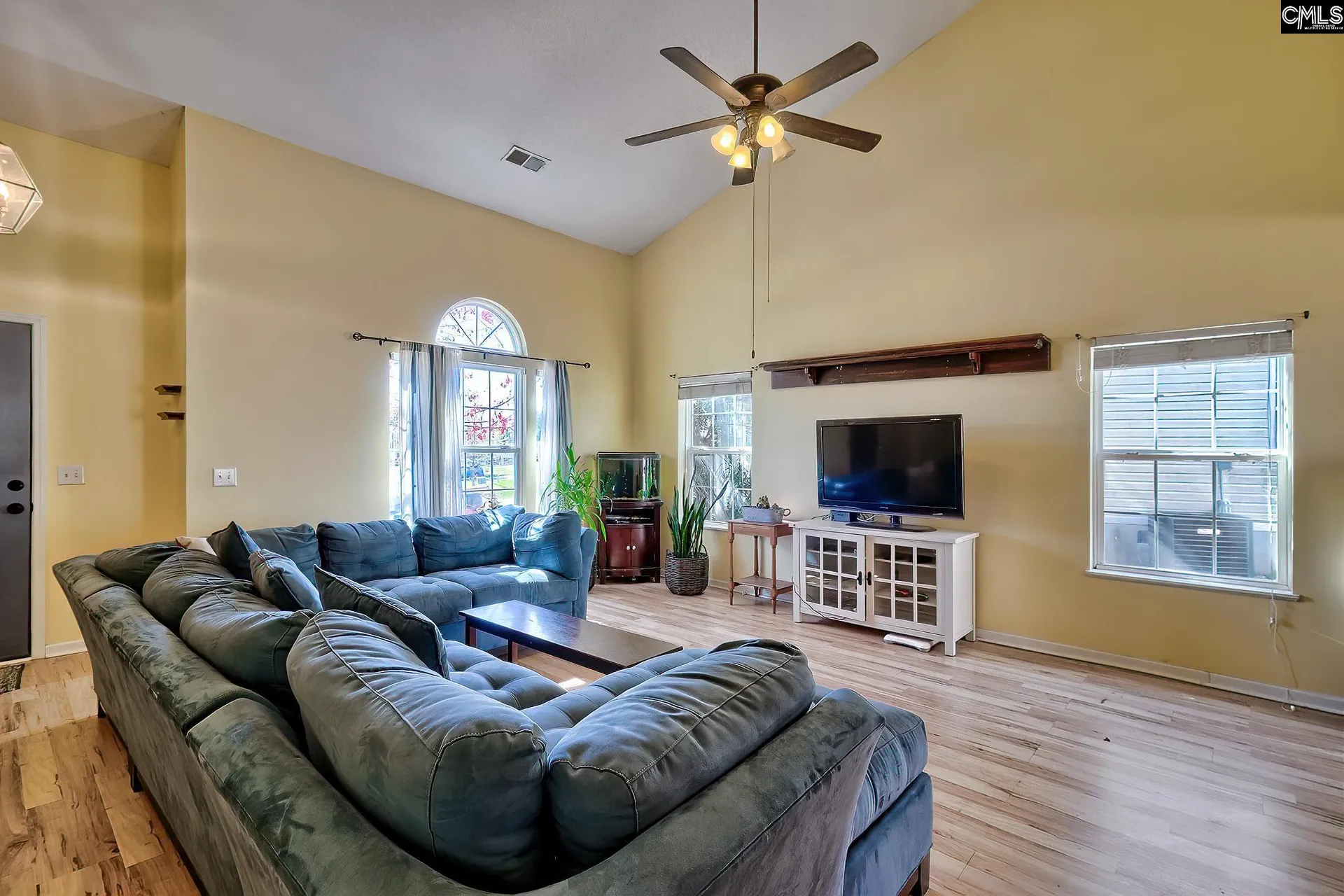 Property image 5 at 228 Walkbridge Way, Chapin, SC 29036