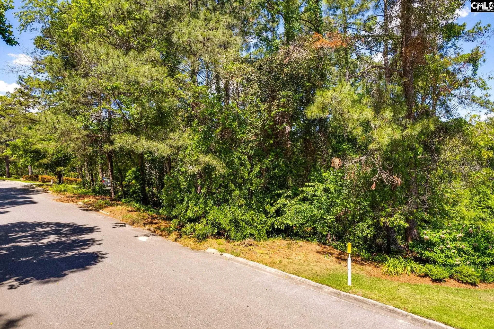Property image 4 at 301 Running Fox Road, Columbia, SC 29223