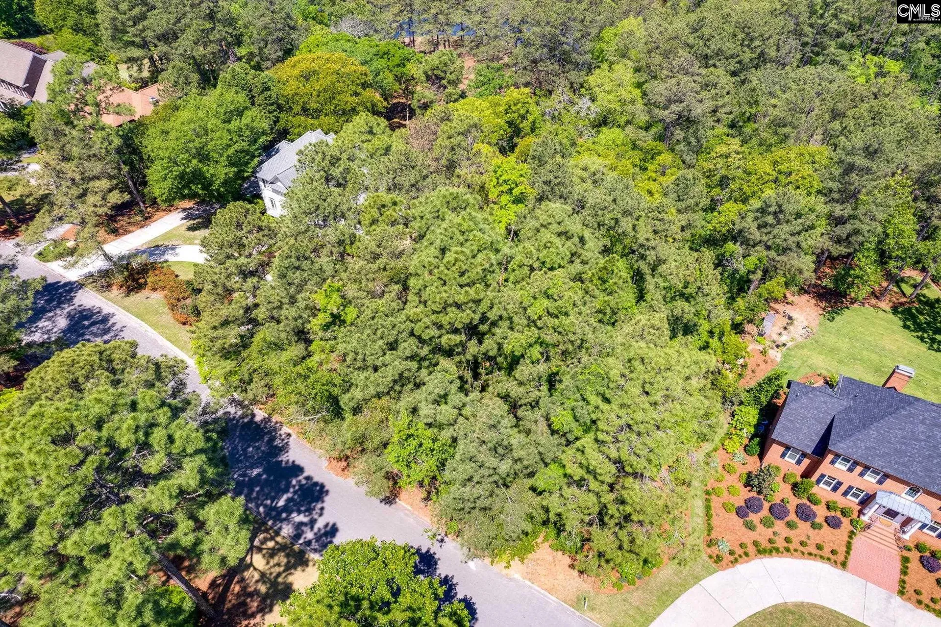 Property image 5 at 301 Running Fox Road, Columbia, SC 29223