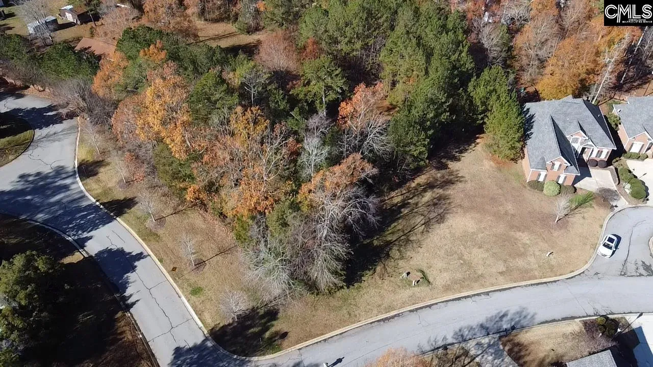 Property image 3 at 101 Summer Branch Lane, Irmo, SC 29063