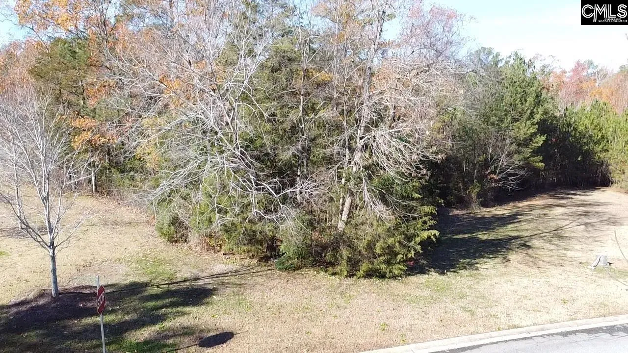 Property image 4 at 101 Summer Branch Lane, Irmo, SC 29063