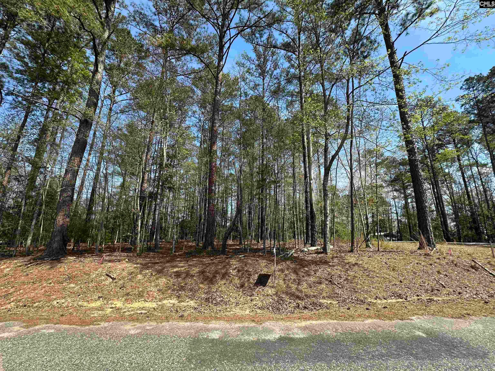 Property image 3 at Grant Drive, Prosperity, SC 29127-0000