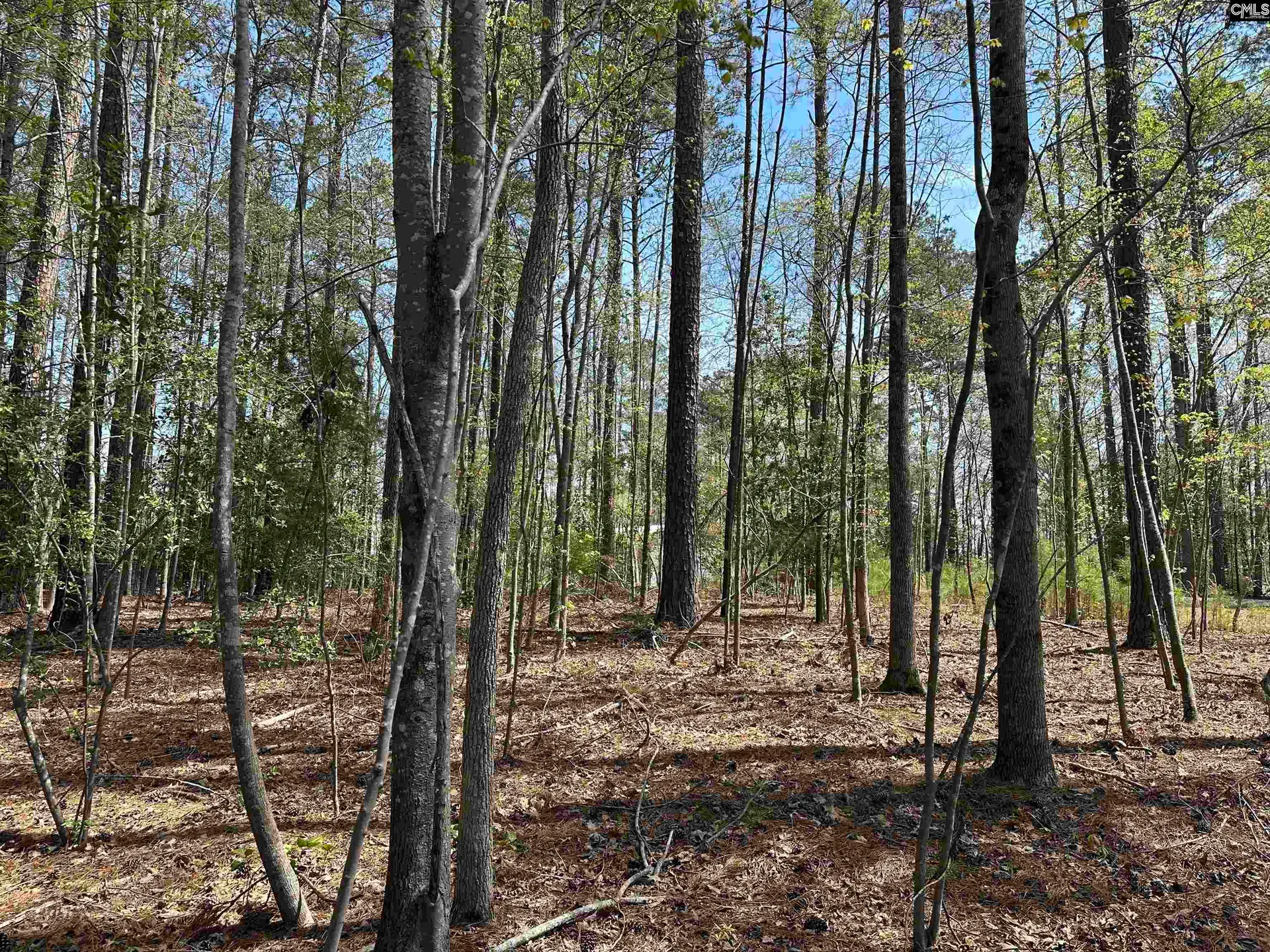 Property image 4 at Grant Drive, Prosperity, SC 29127-0000