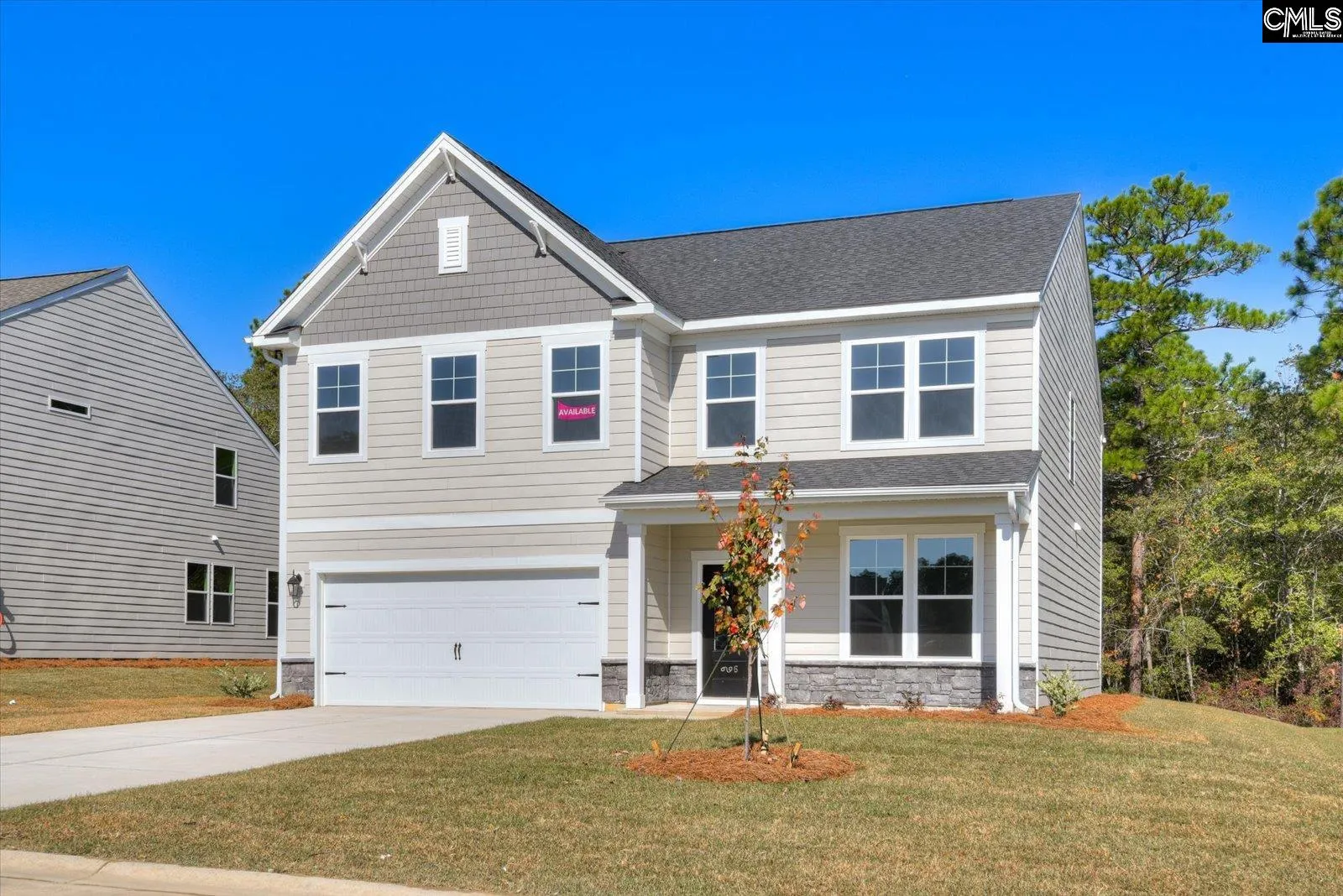 Property image 2 at 314 Chapin Place Way, Chapin, SC 29036