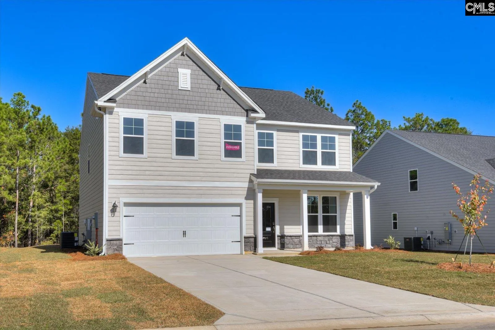 Property image 3 at 314 Chapin Place Way, Chapin, SC 29036