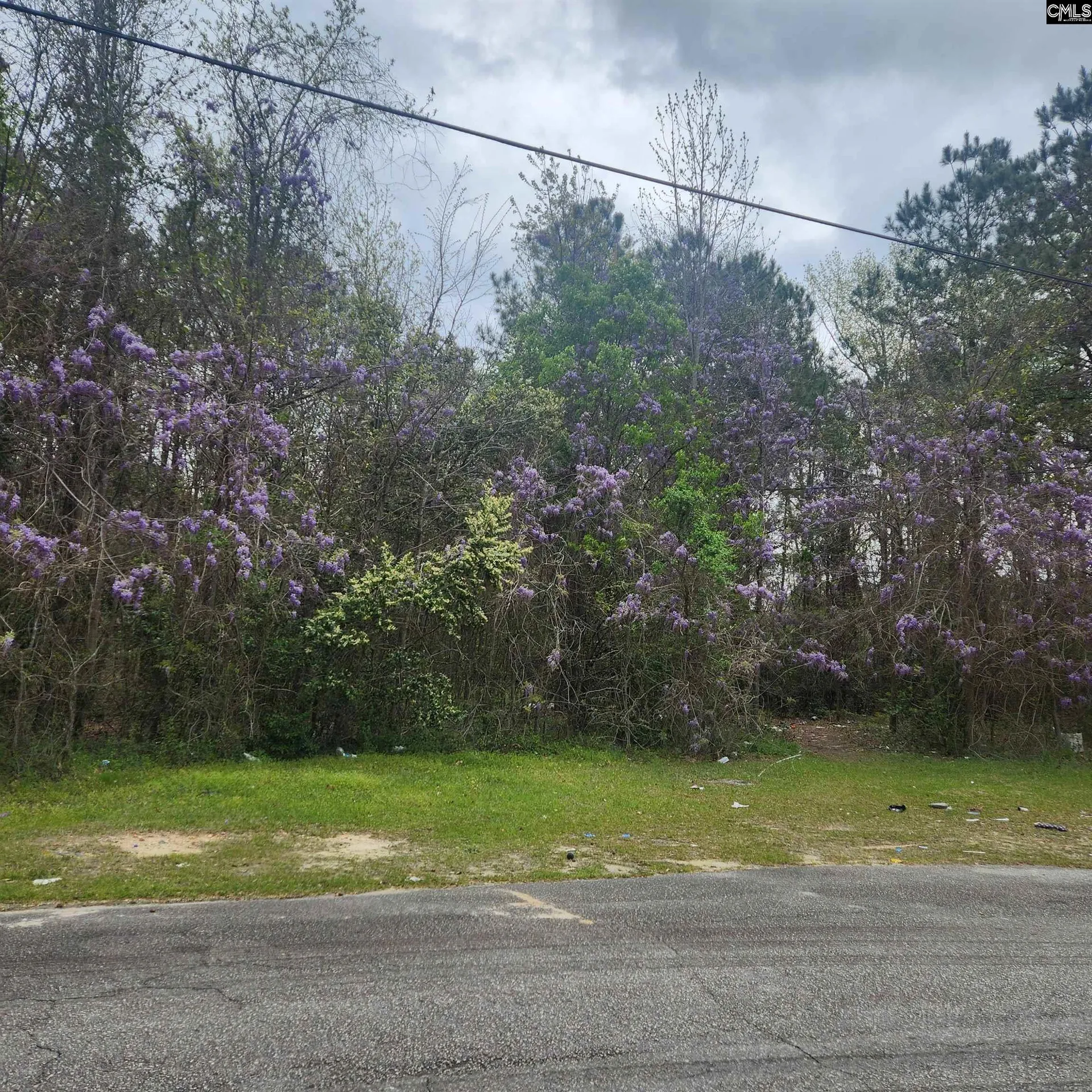 Property image 2 at 6430 Norris Street, Columbia, SC 29209