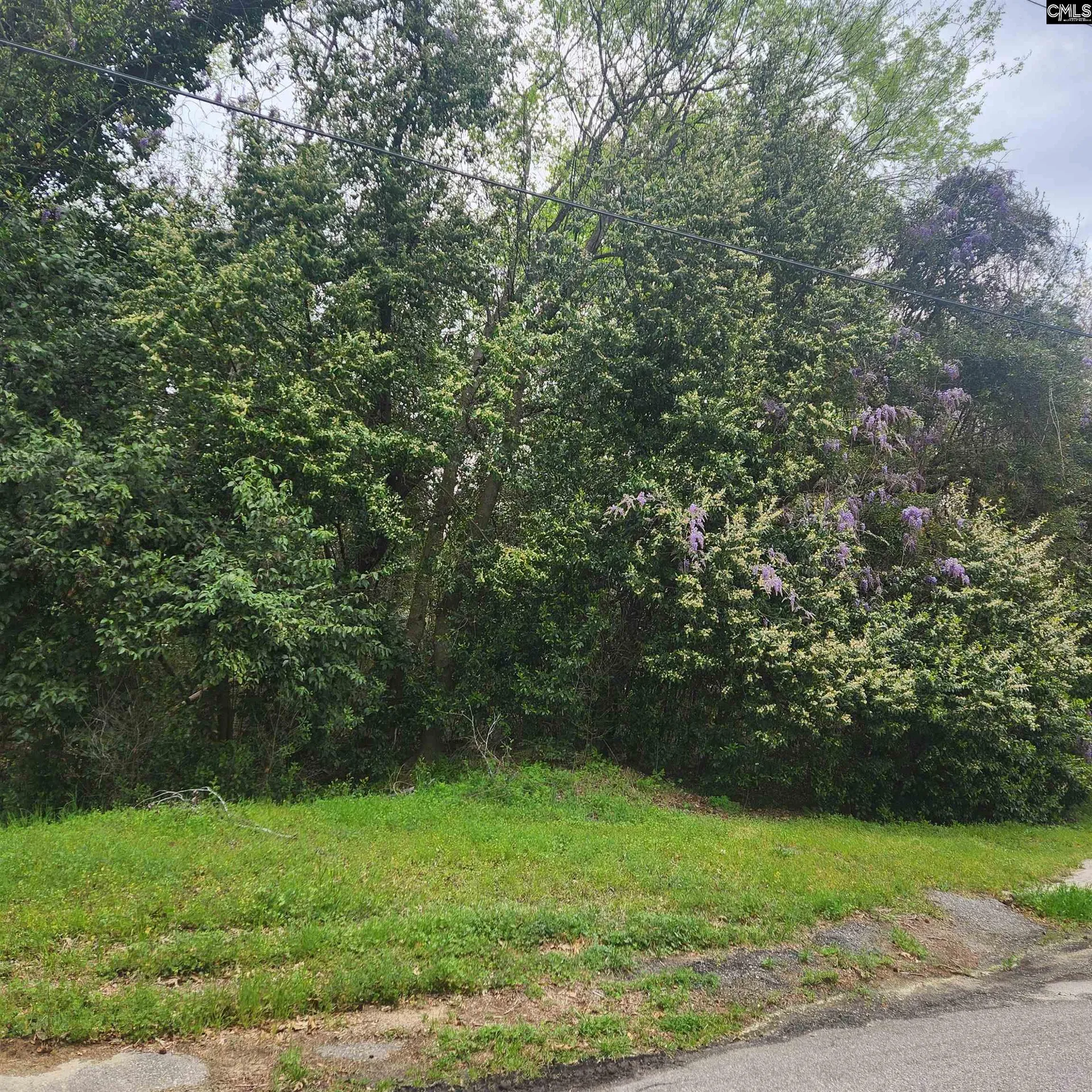 Property image 3 at 6430 Norris Street, Columbia, SC 29209