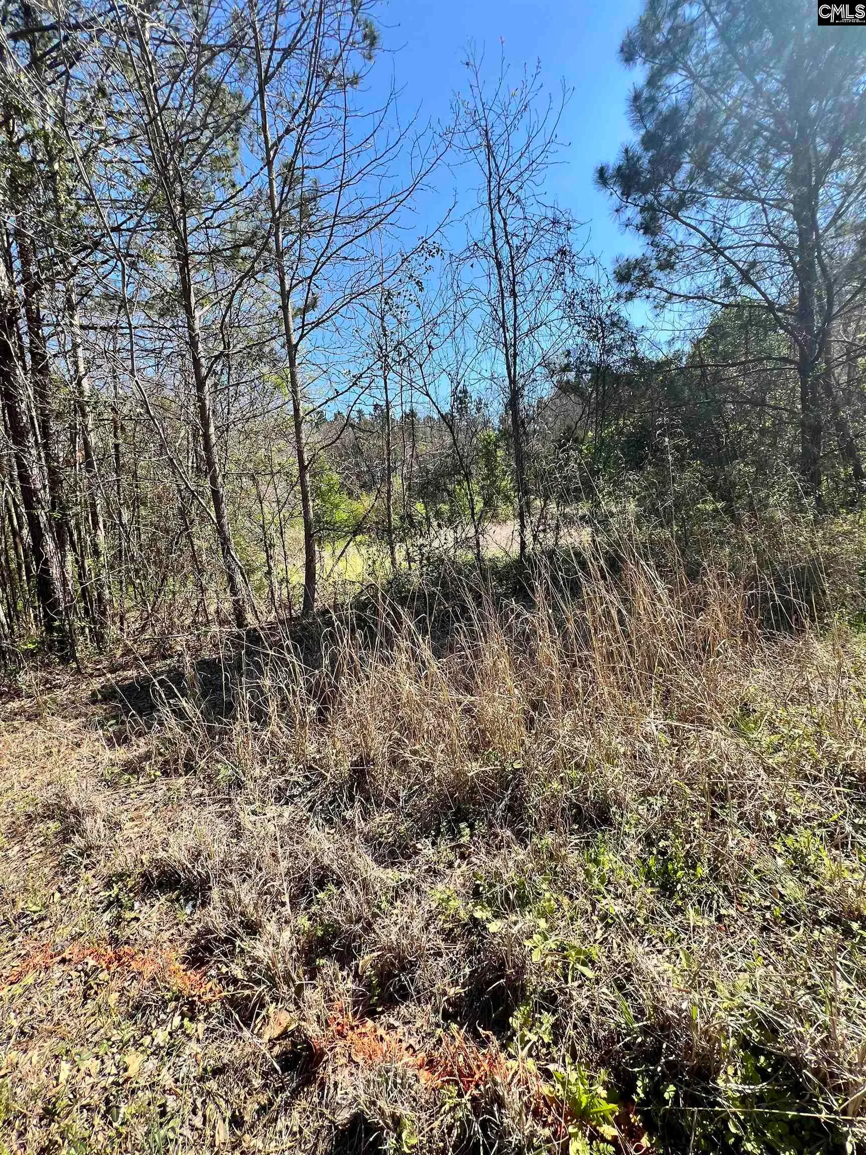 Property image 3 at Jerome Dr, Columbia, SC 29203
