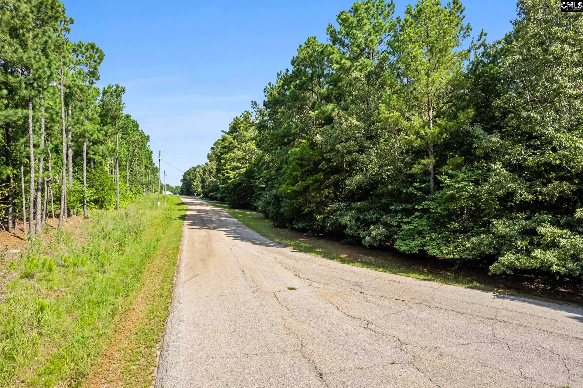 Property image 3 at 245 Goodlett LN, Blair, SC 29015