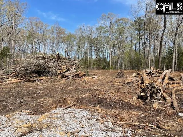 Property image 2 at 124 Lynch Lane, Chapin, SC 29036-0000