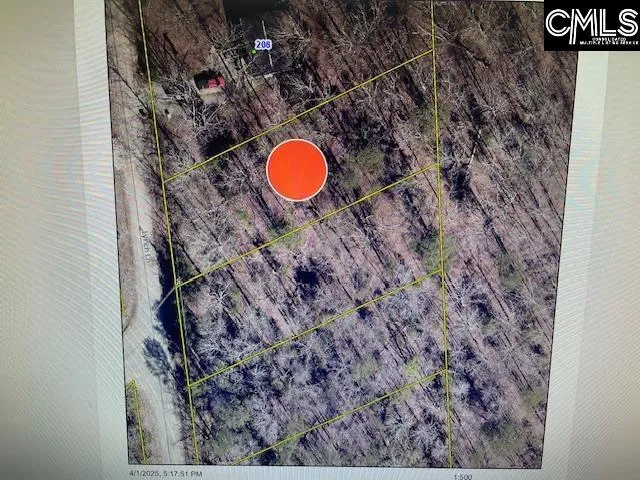 Property image 3 at 124 Lynch Lane, Chapin, SC 29036-0000