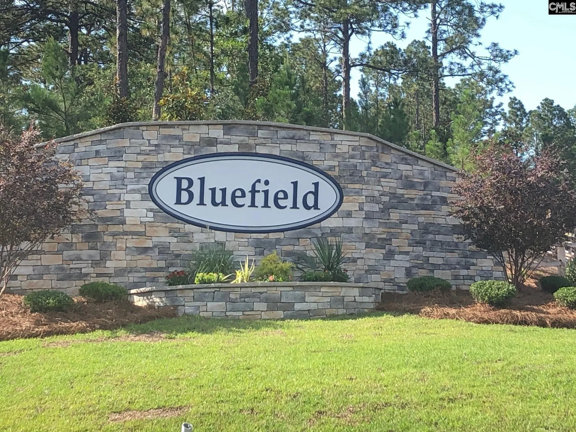 Property image 3 at 310 Aldergate Drive, Lexington, SC 29073
