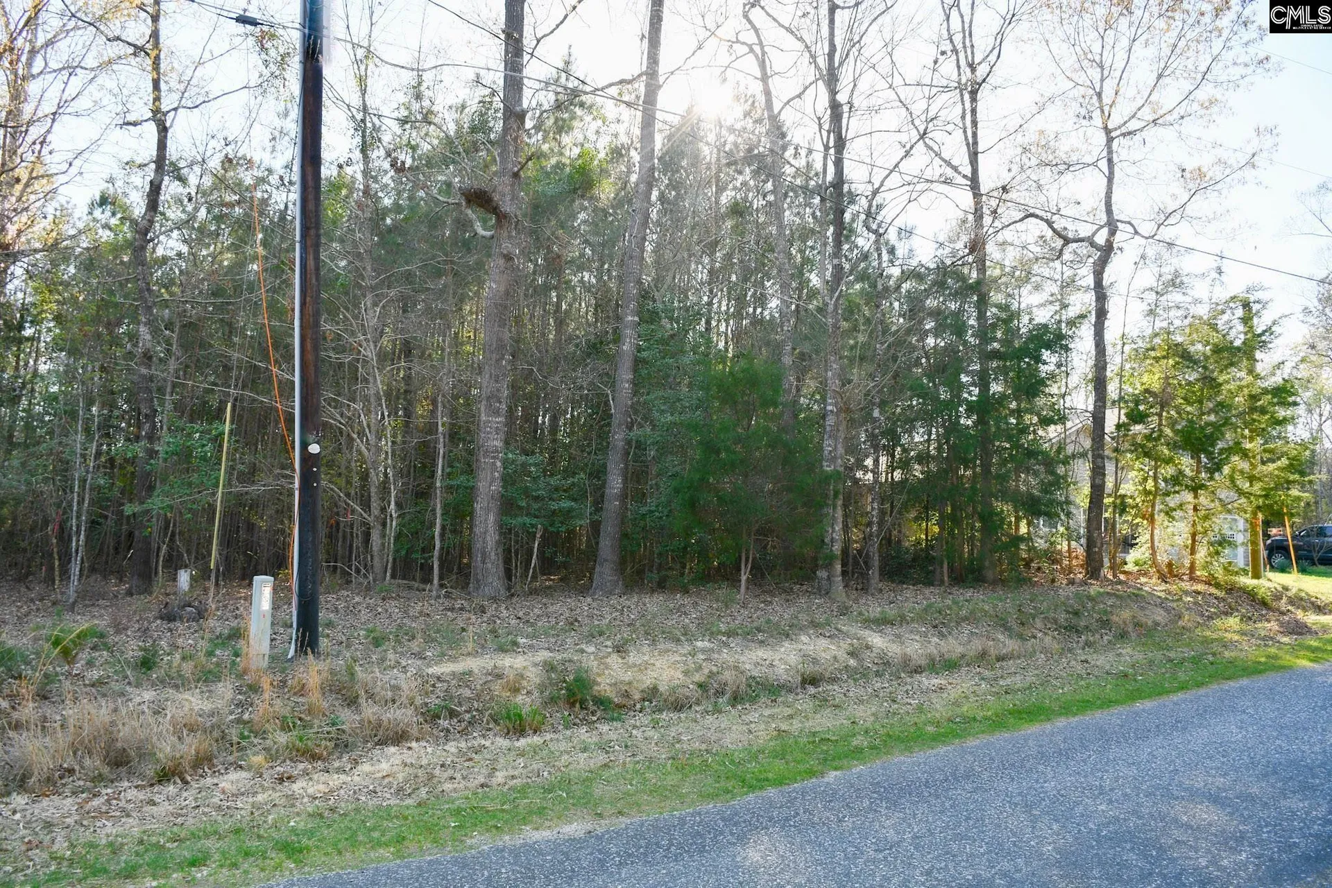 Property image 1 at Hunter Drive, Chapin, SC 29036