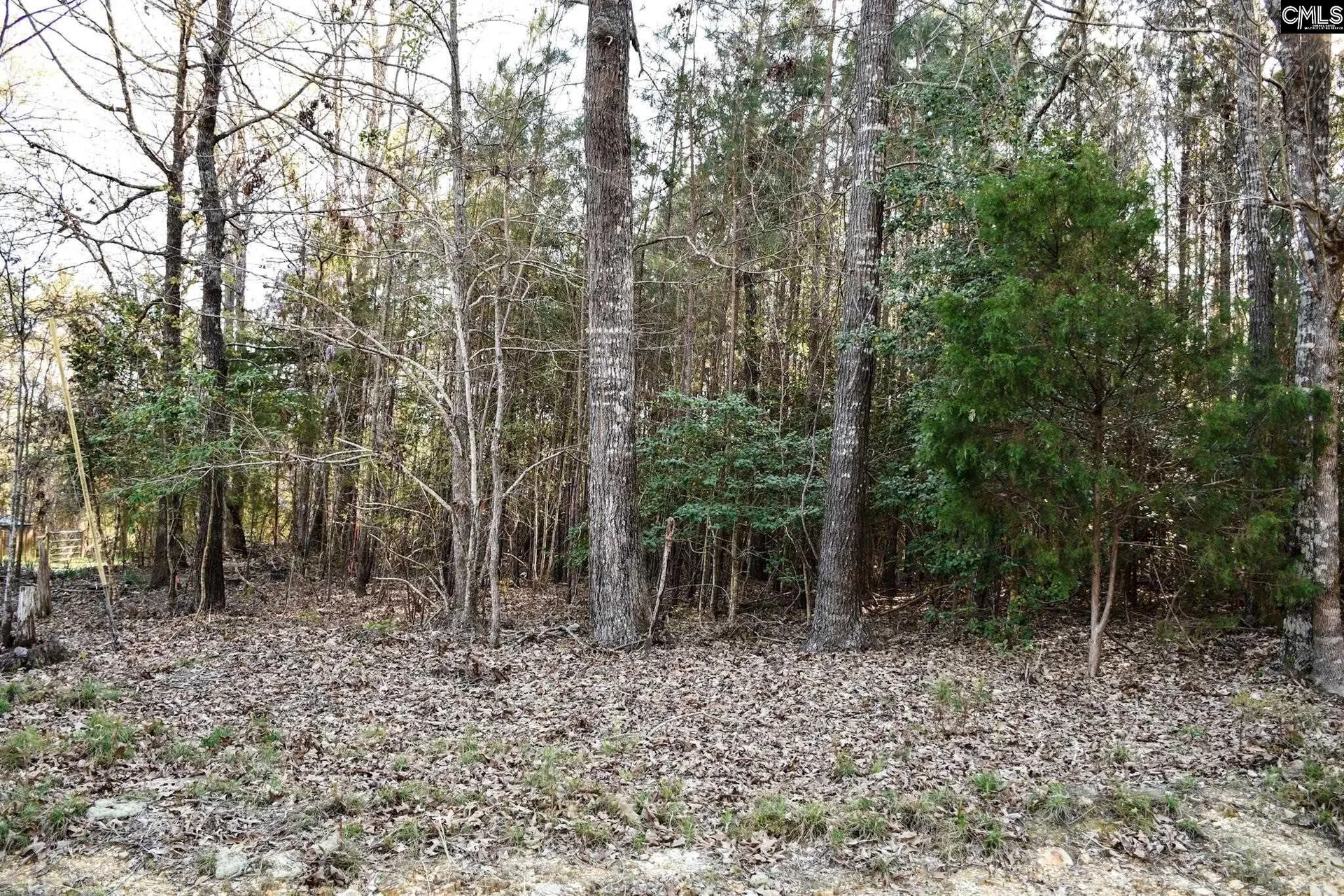Property image 3 at Hunter Drive, Chapin, SC 29036