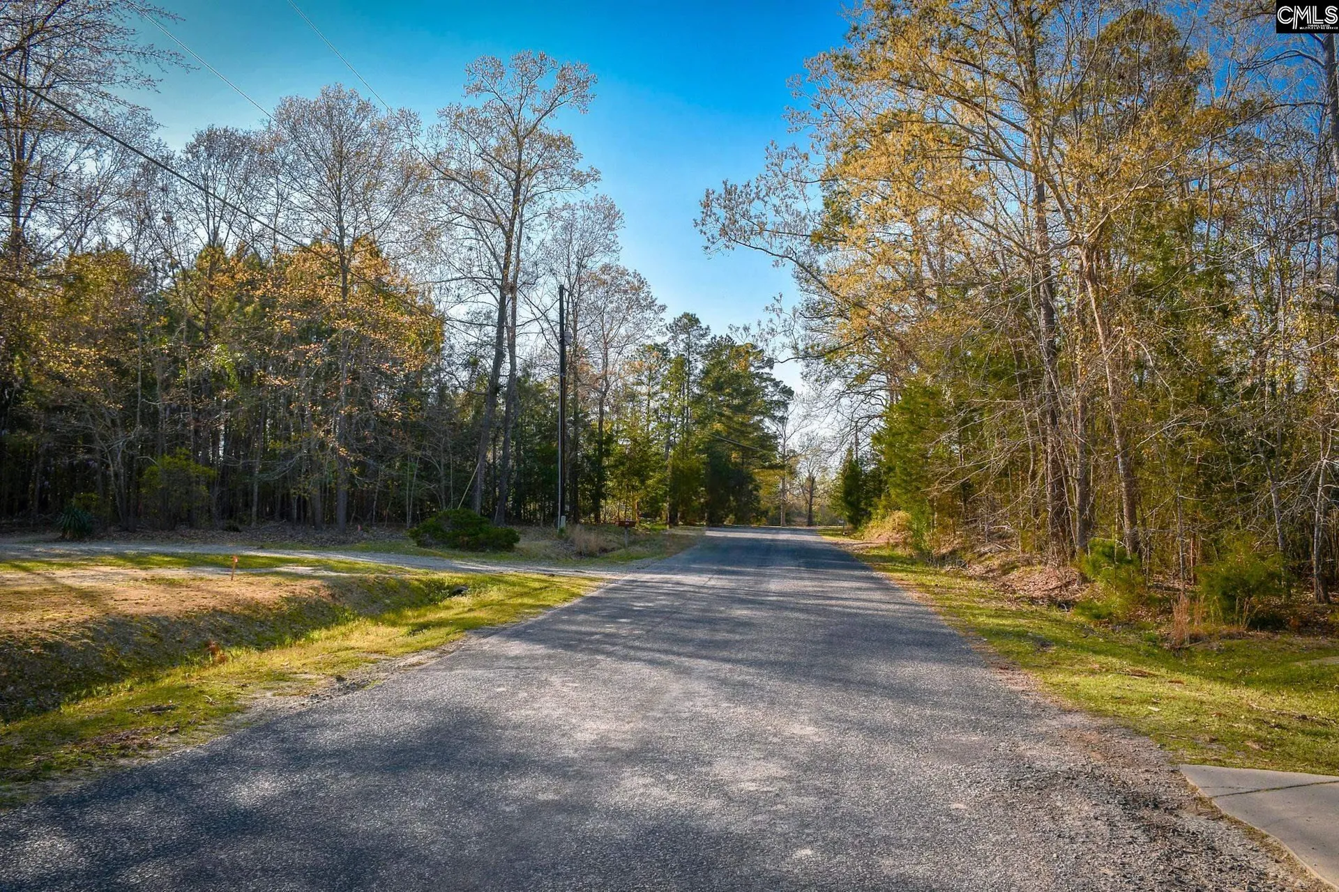 Property image 4 at Hunter Drive, Chapin, SC 29036