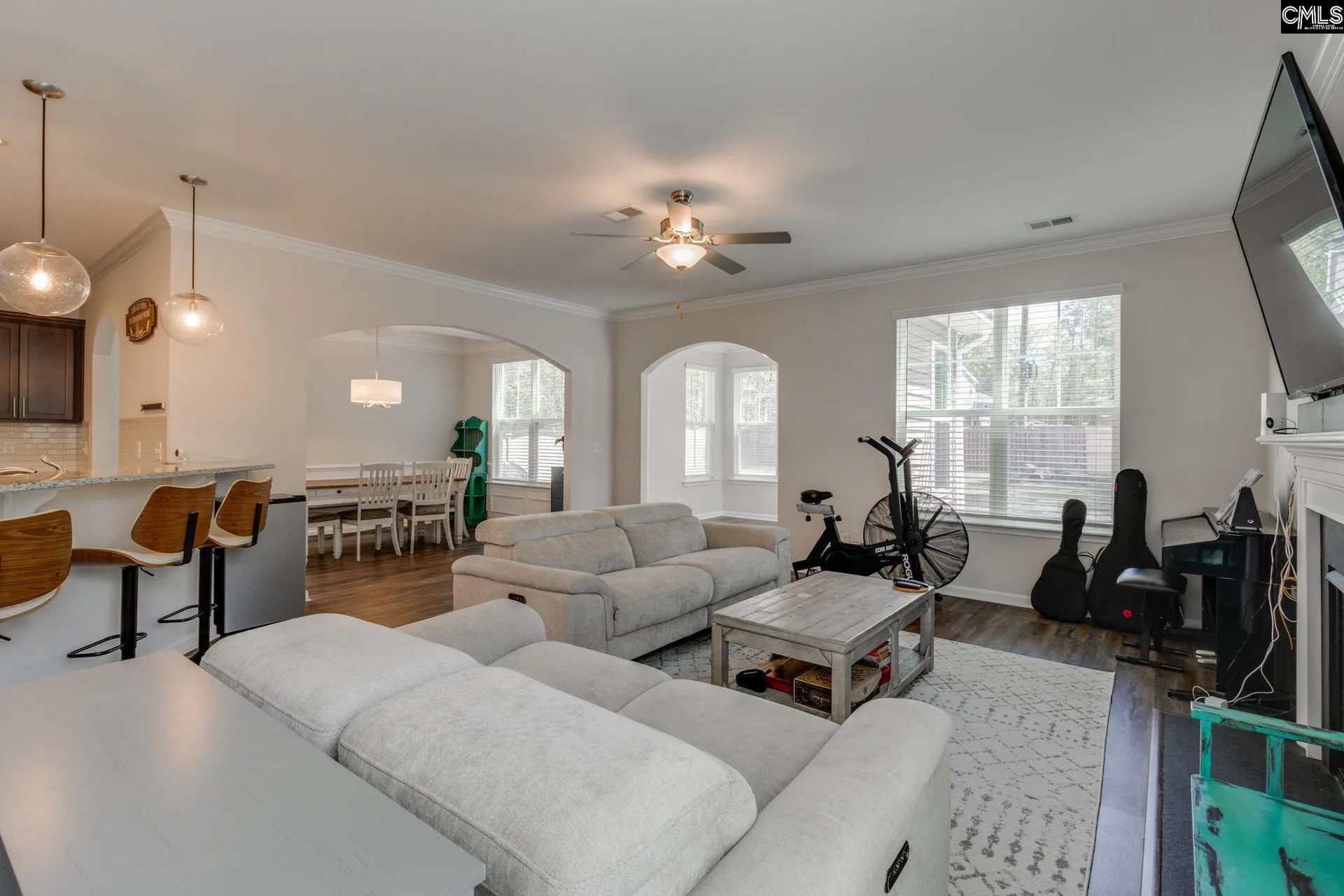 Property image 4 at 862 Bergenfield Lane, Chapin, SC 29036