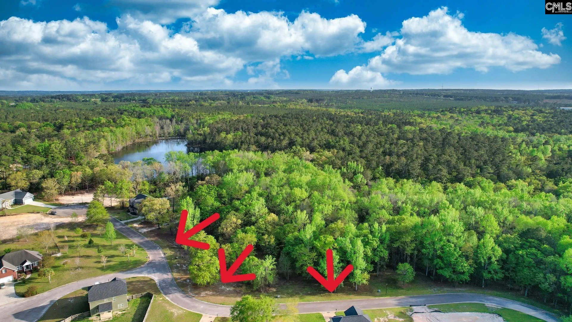 Property image 3 at 015 River Mill Way, Gaston, SC 29053