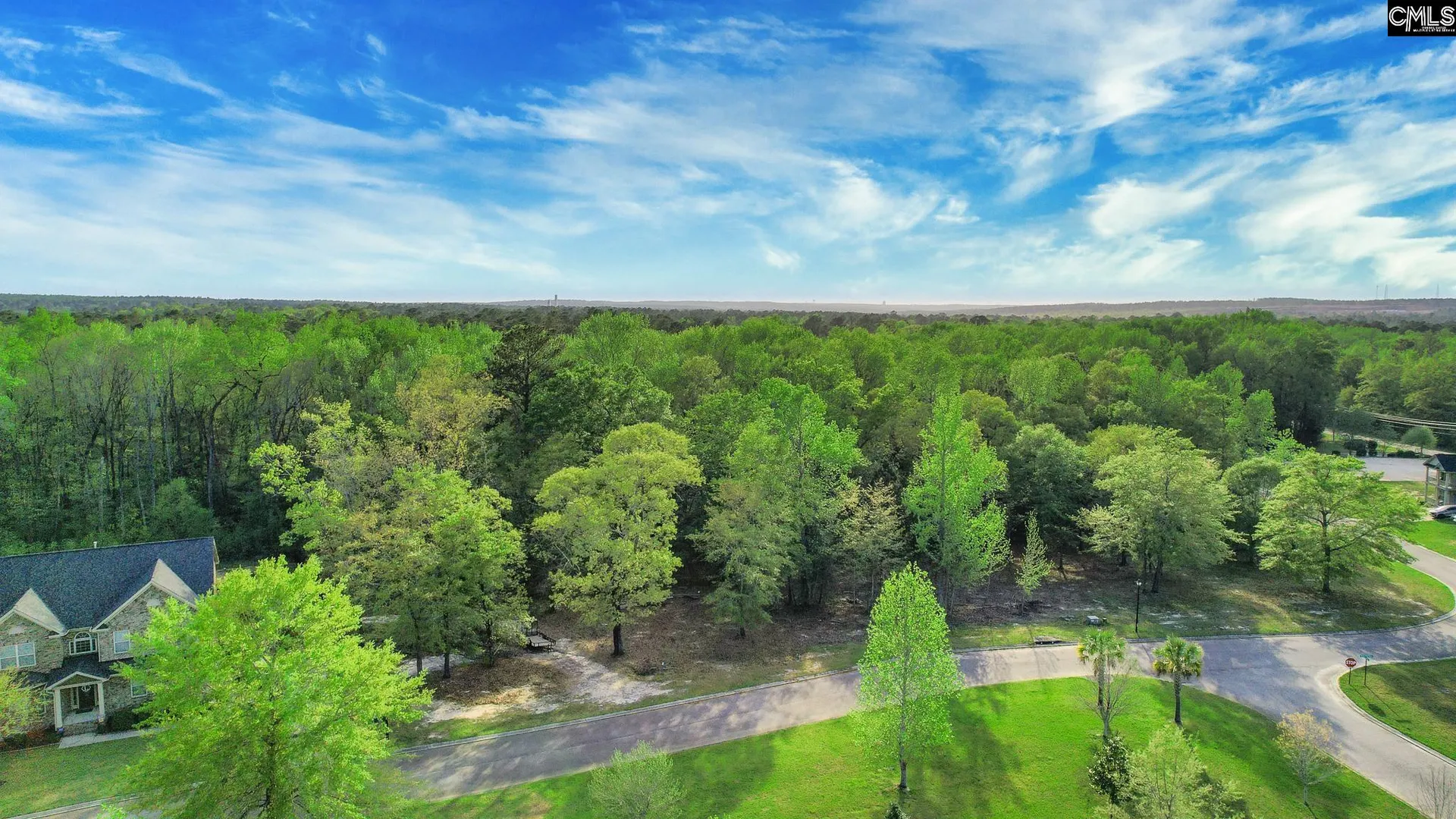 Property image 4 at 015 River Mill Way, Gaston, SC 29053