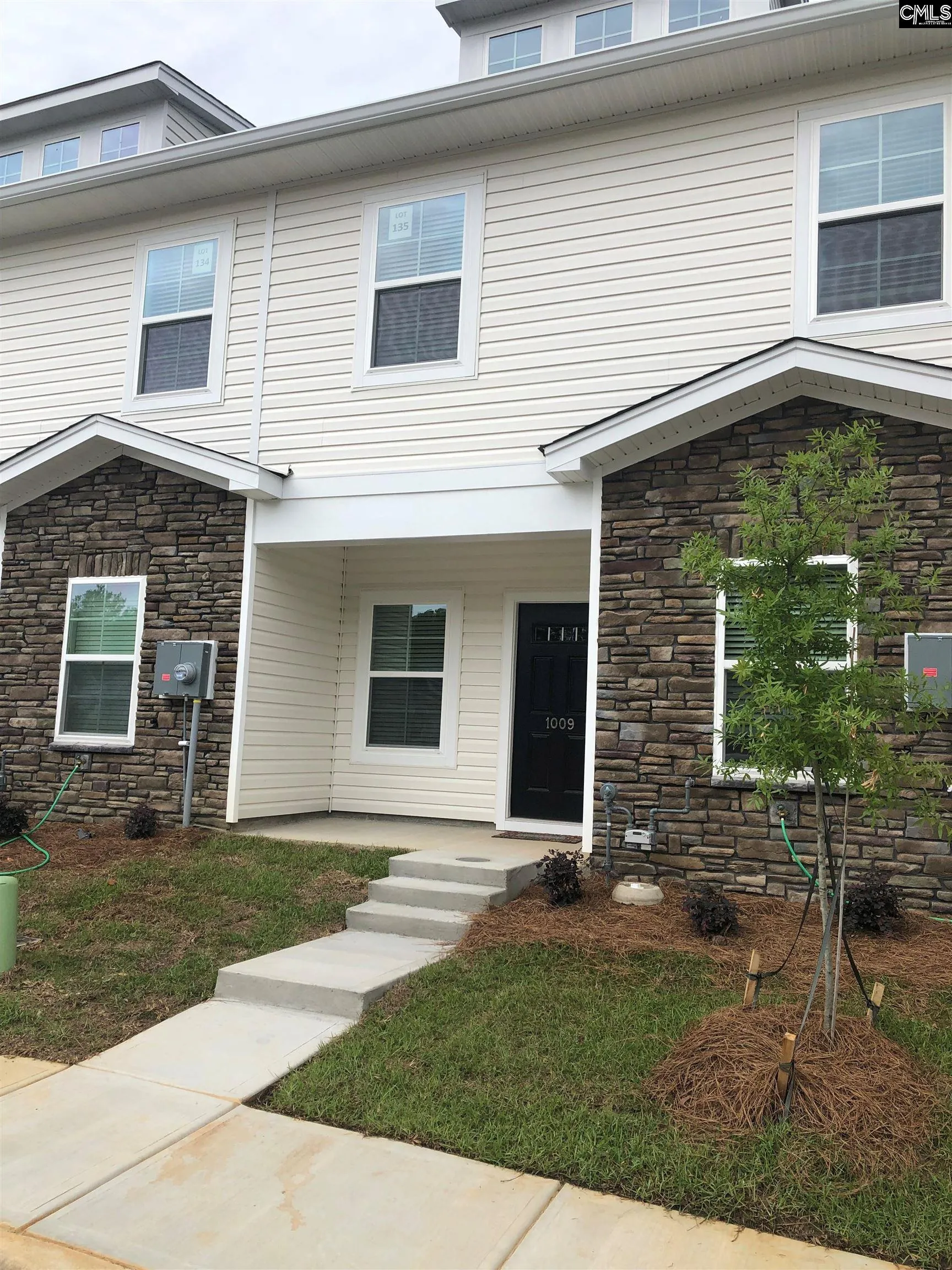 1009 Tundra Teal Lane