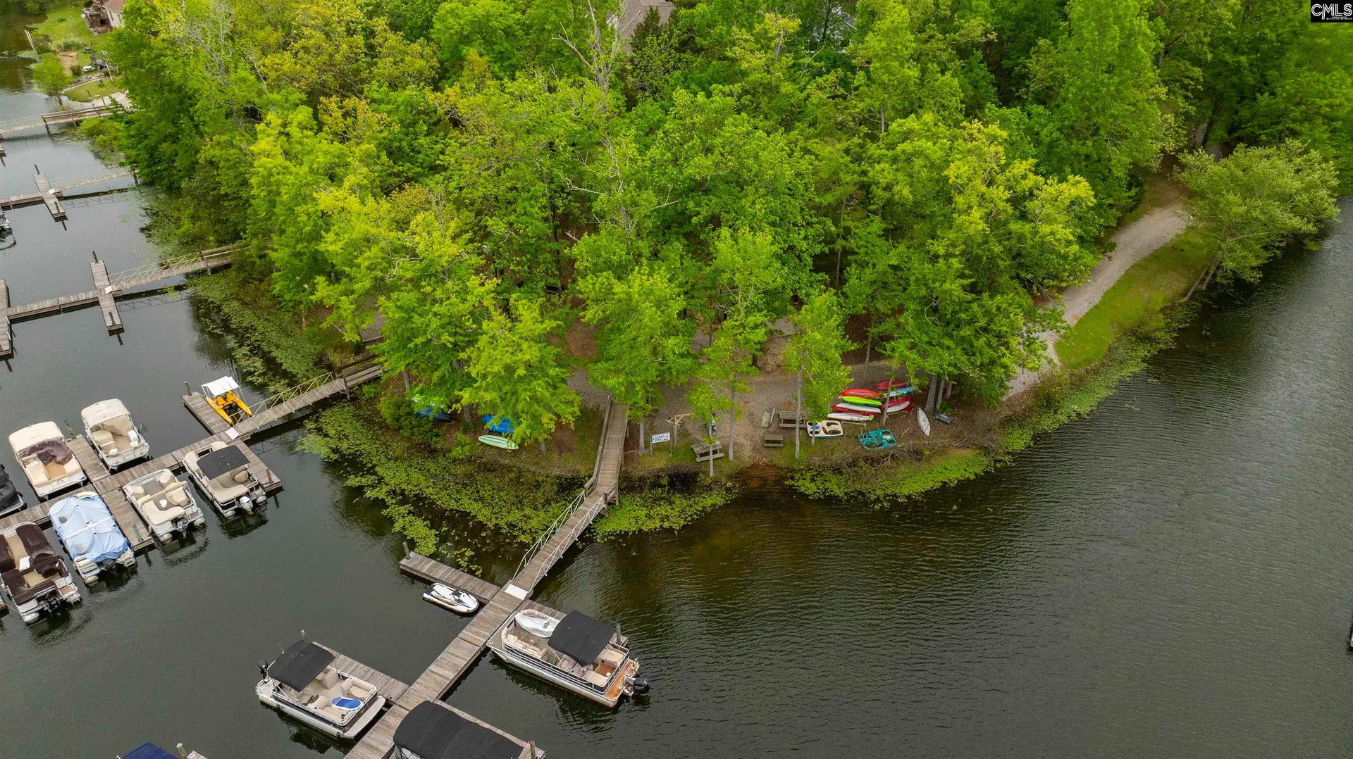 Property image 3 at 124 Pond Edge Lane, Chapin, SC 29036