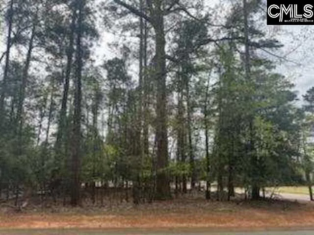 Property image 3 at 703 Cove Trail, Chapin, SC 29036