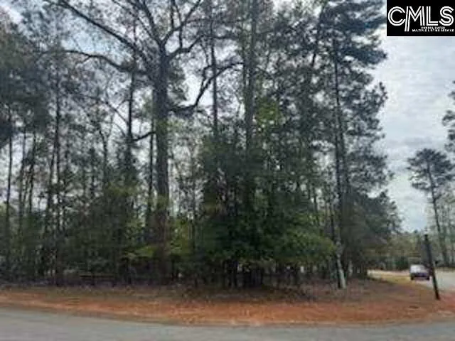 Property image 4 at 703 Cove Trail, Chapin, SC 29036