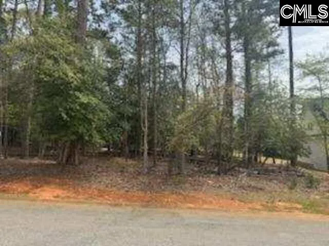 Property image 5 at 703 Cove Trail, Chapin, SC 29036