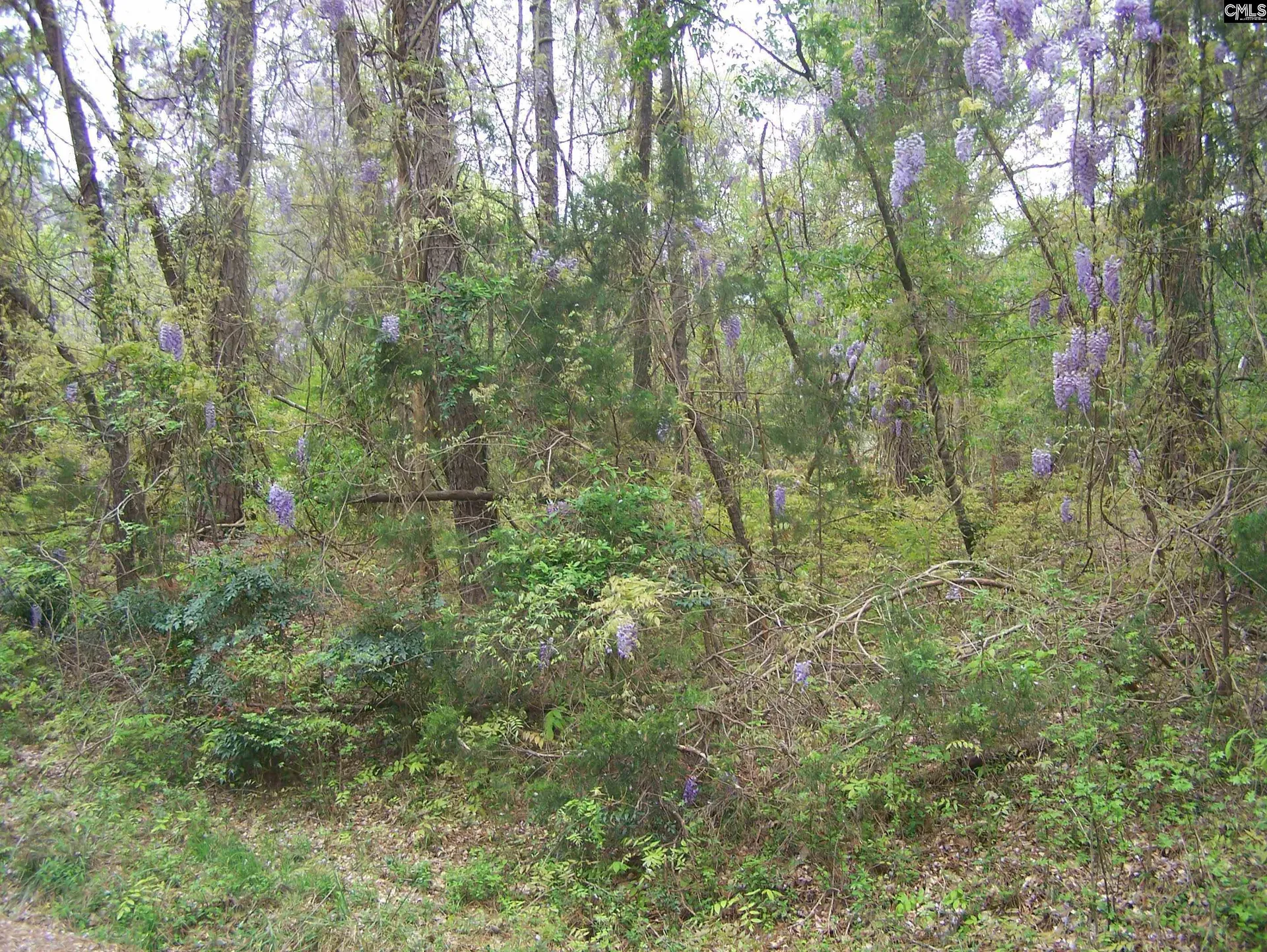 Lot #17 Myrtle Lane