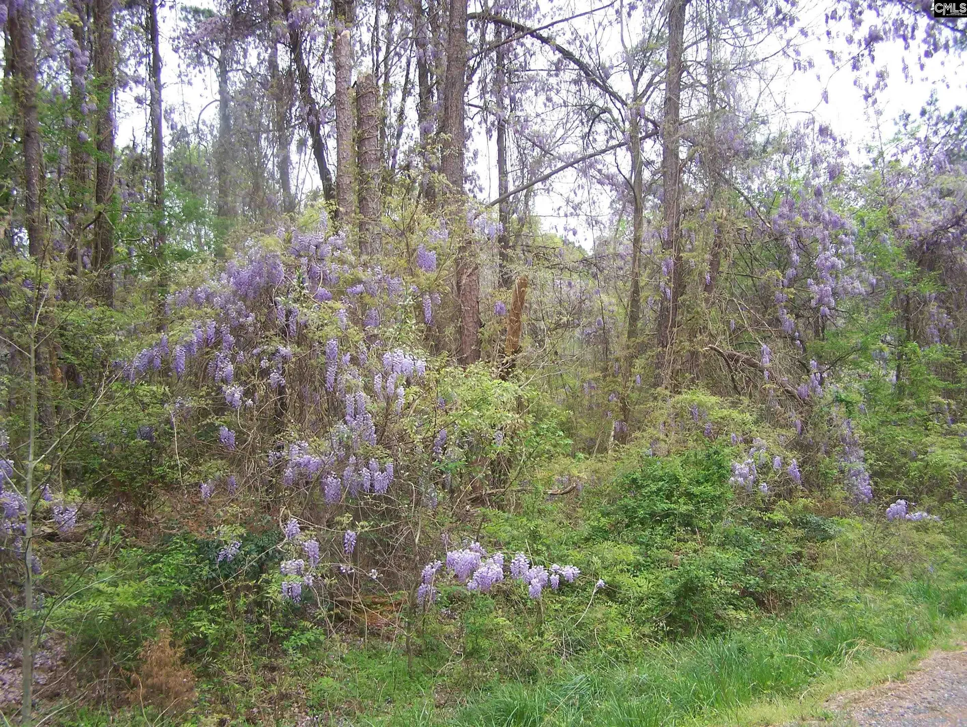 Property image 2 at Lot #17 Myrtle Lane, Blair, SC 29015