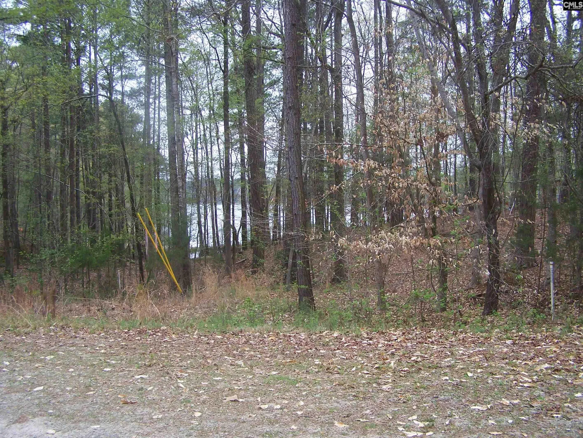 Property image 3 at Lot #17 Myrtle Lane, Blair, SC 29015