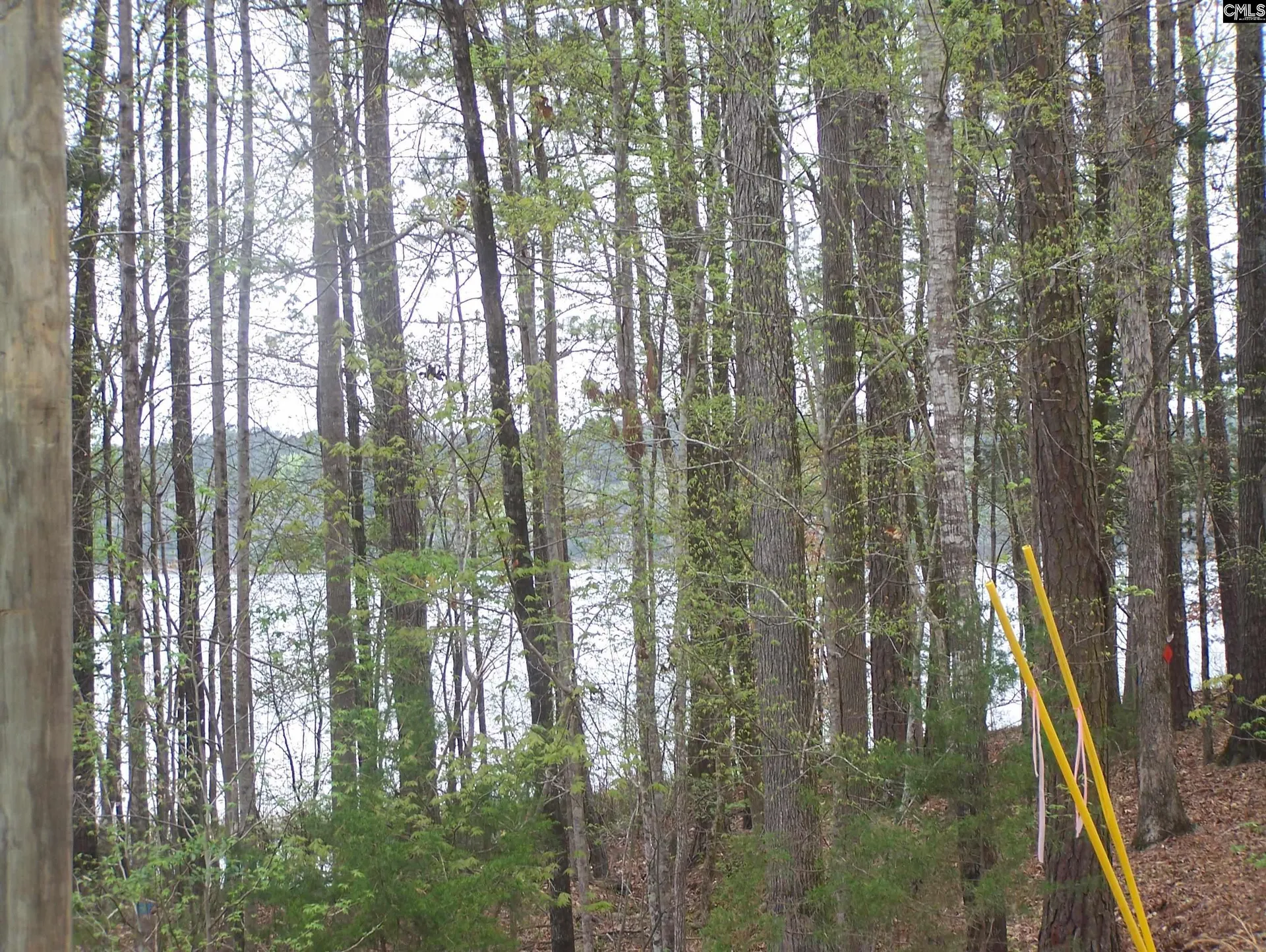 Property image 4 at Lot #17 Myrtle Lane, Blair, SC 29015