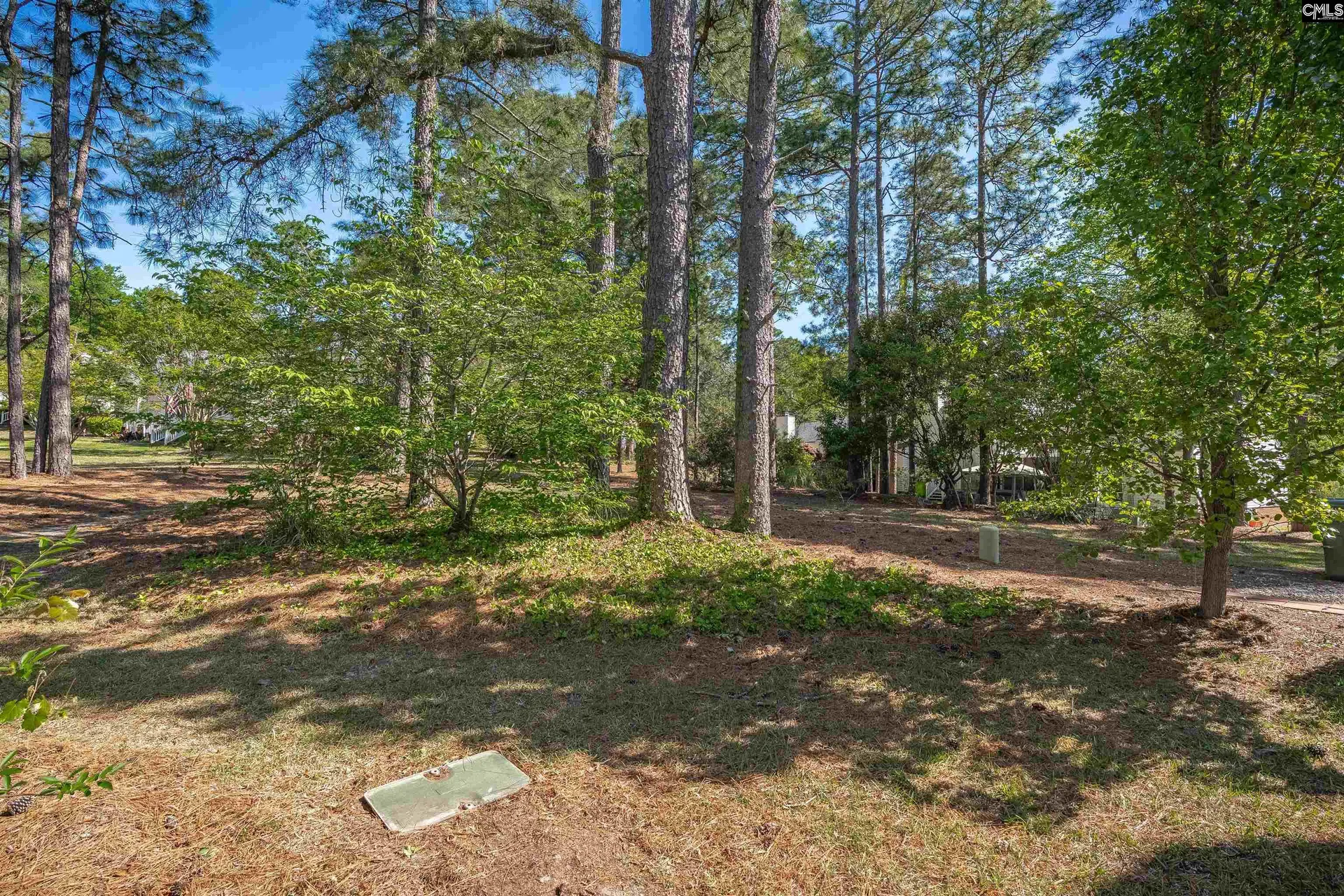 Property image 5 at 95 N Lake Pointe Drive, Columbia, SC 29229