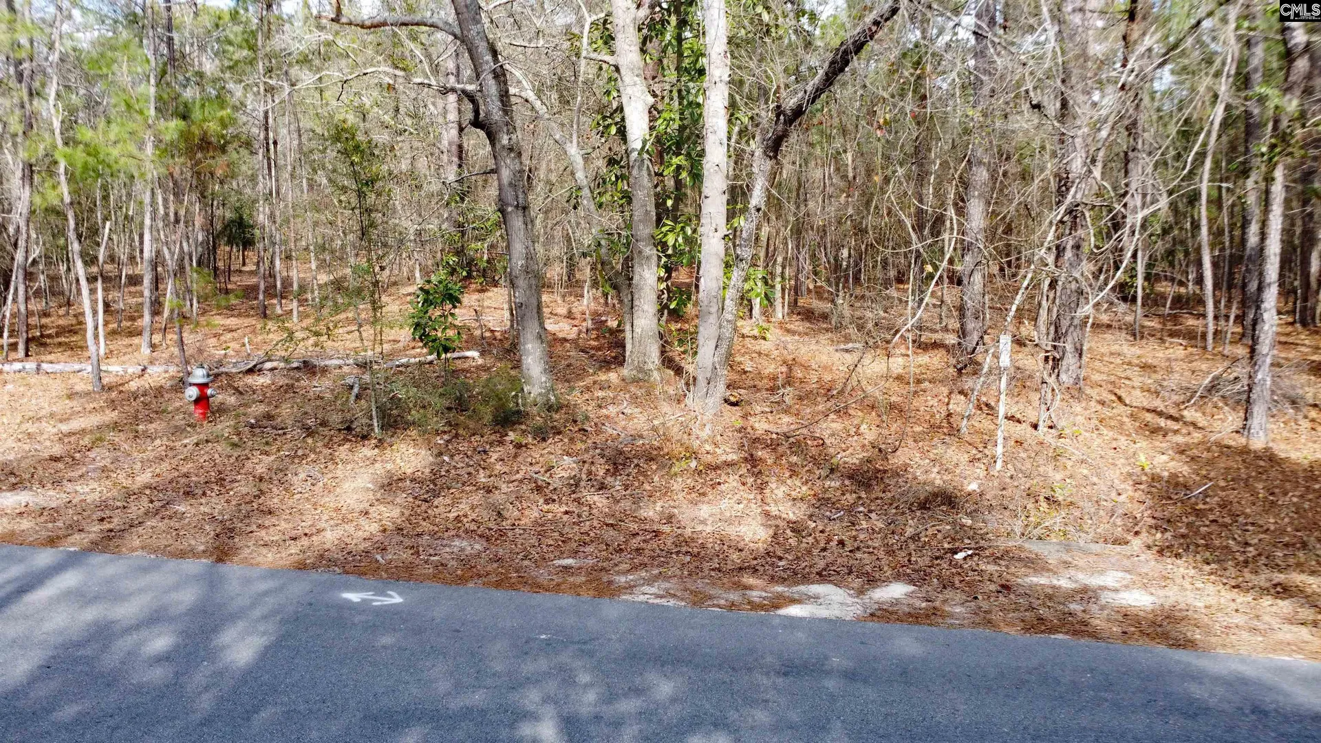 Property image 3 at Timberline Dr Lot B, Camden, SC 29229