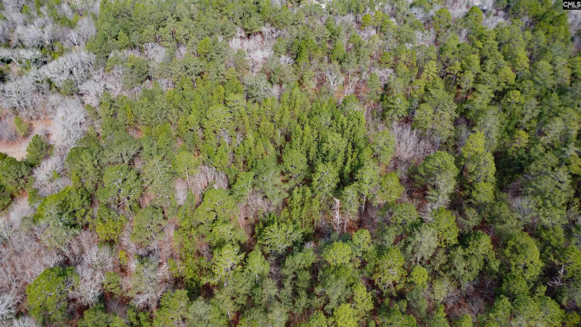 Property image 4 at Timberline Dr Lot B, Camden, SC 29229