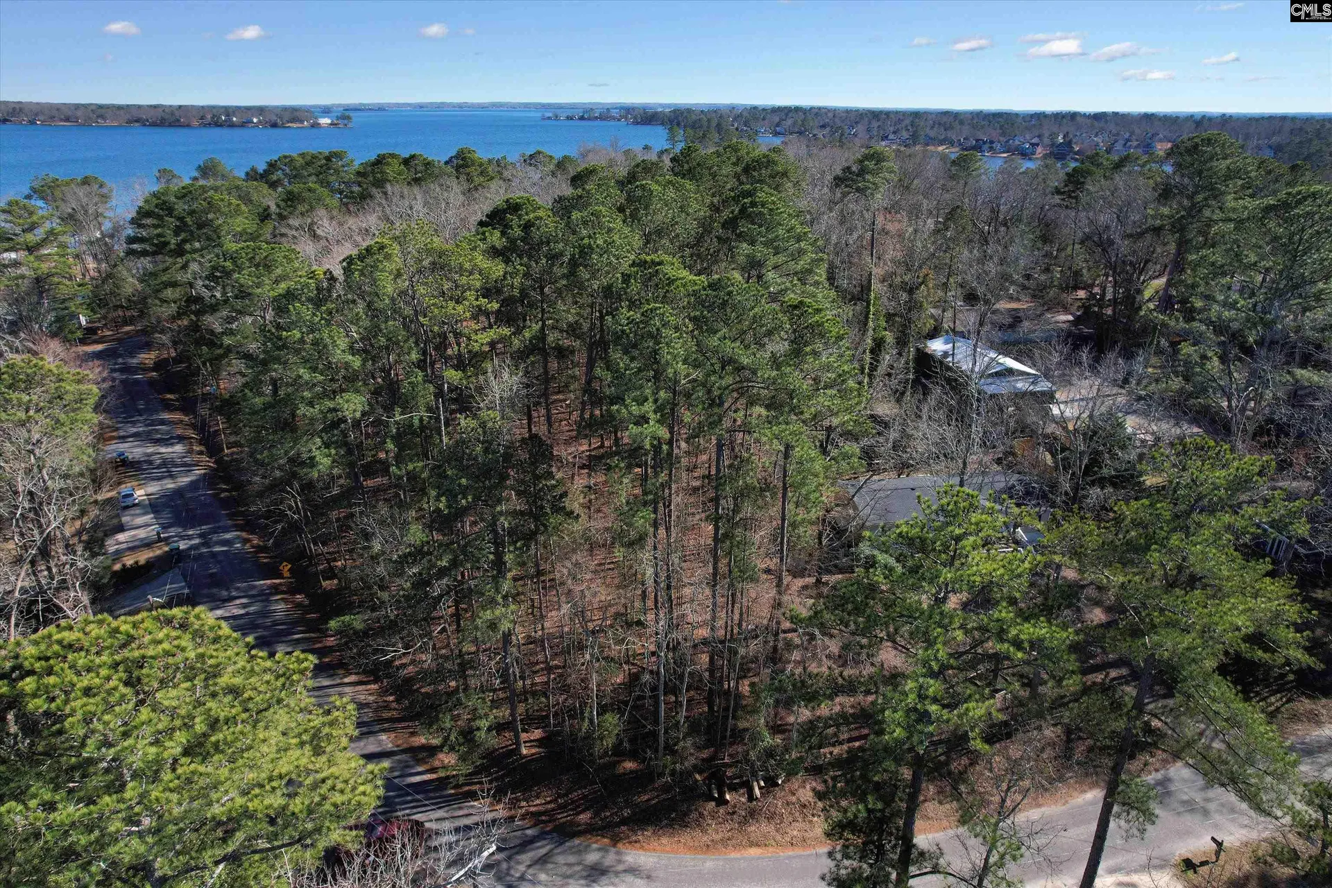 Property image 4 at Lot 80 Green Meadow Drive, Chapin, SC 29036