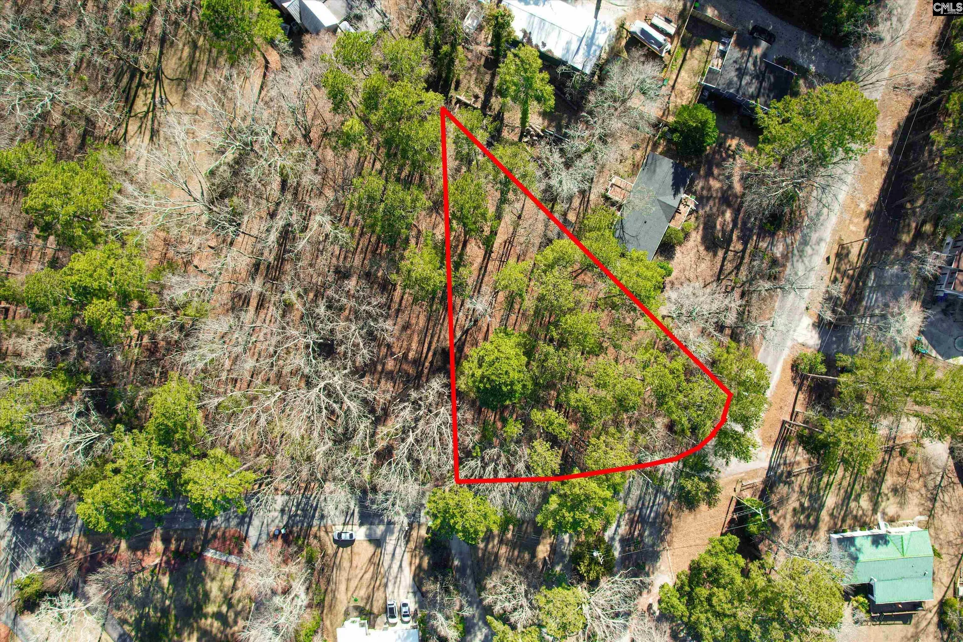 Property image 5 at Lot 80 Green Meadow Drive, Chapin, SC 29036