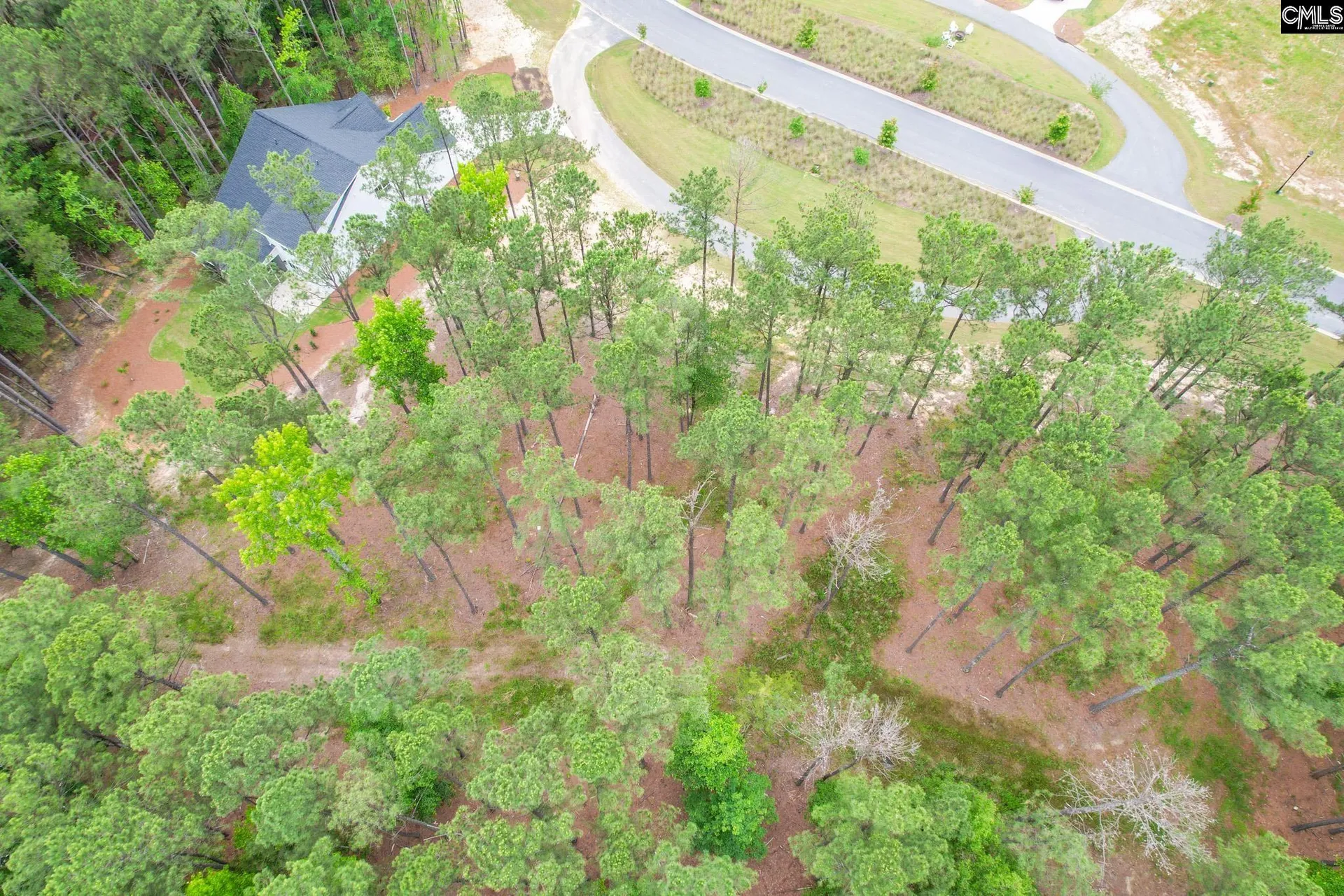 Property image 5 at 153 Stewart Landing Drive, Prosperity, SC 29127
