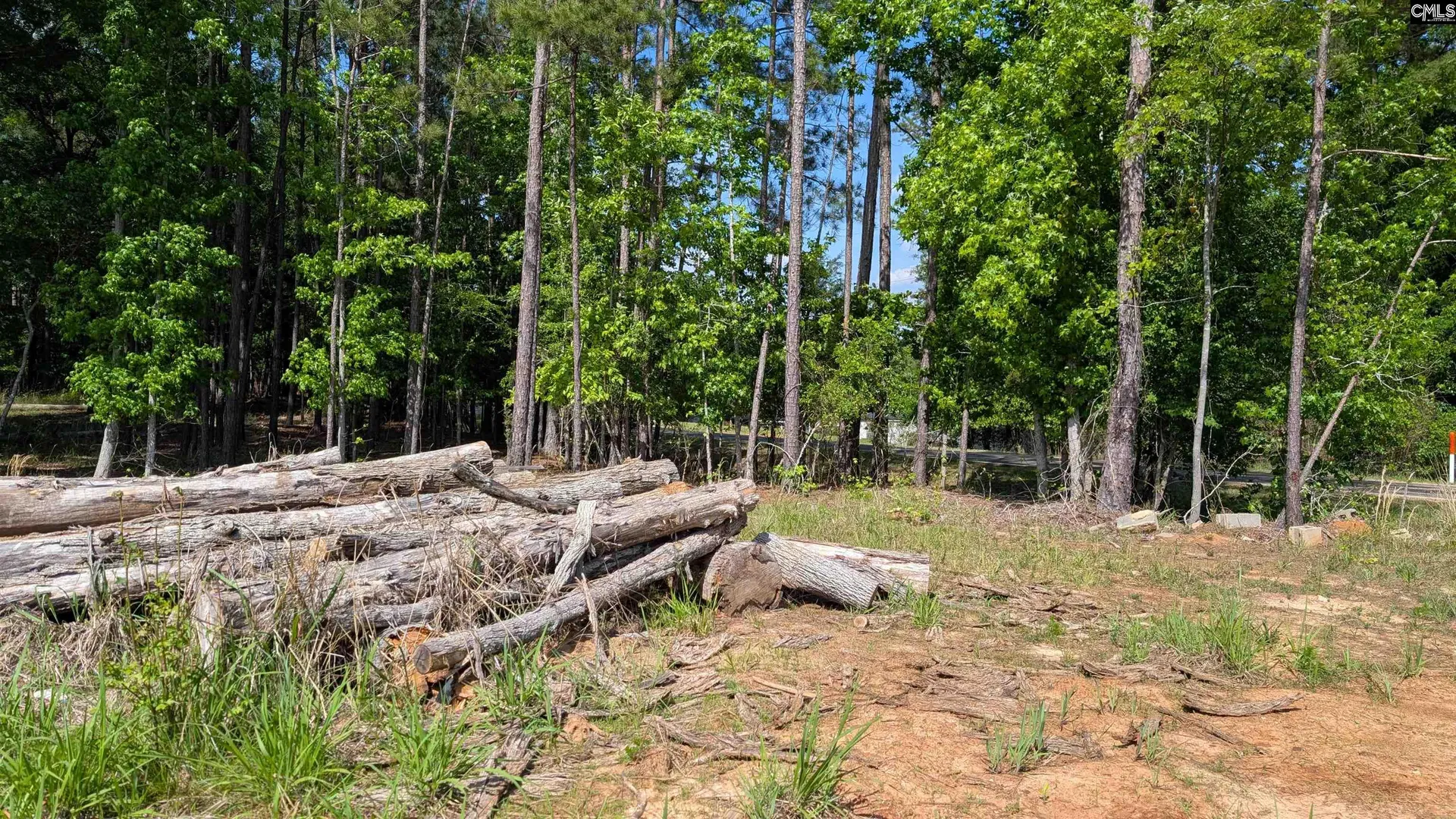 Property image 2 at TBD Rolling Hills Rd, Ridgeway, SC 29130-0000