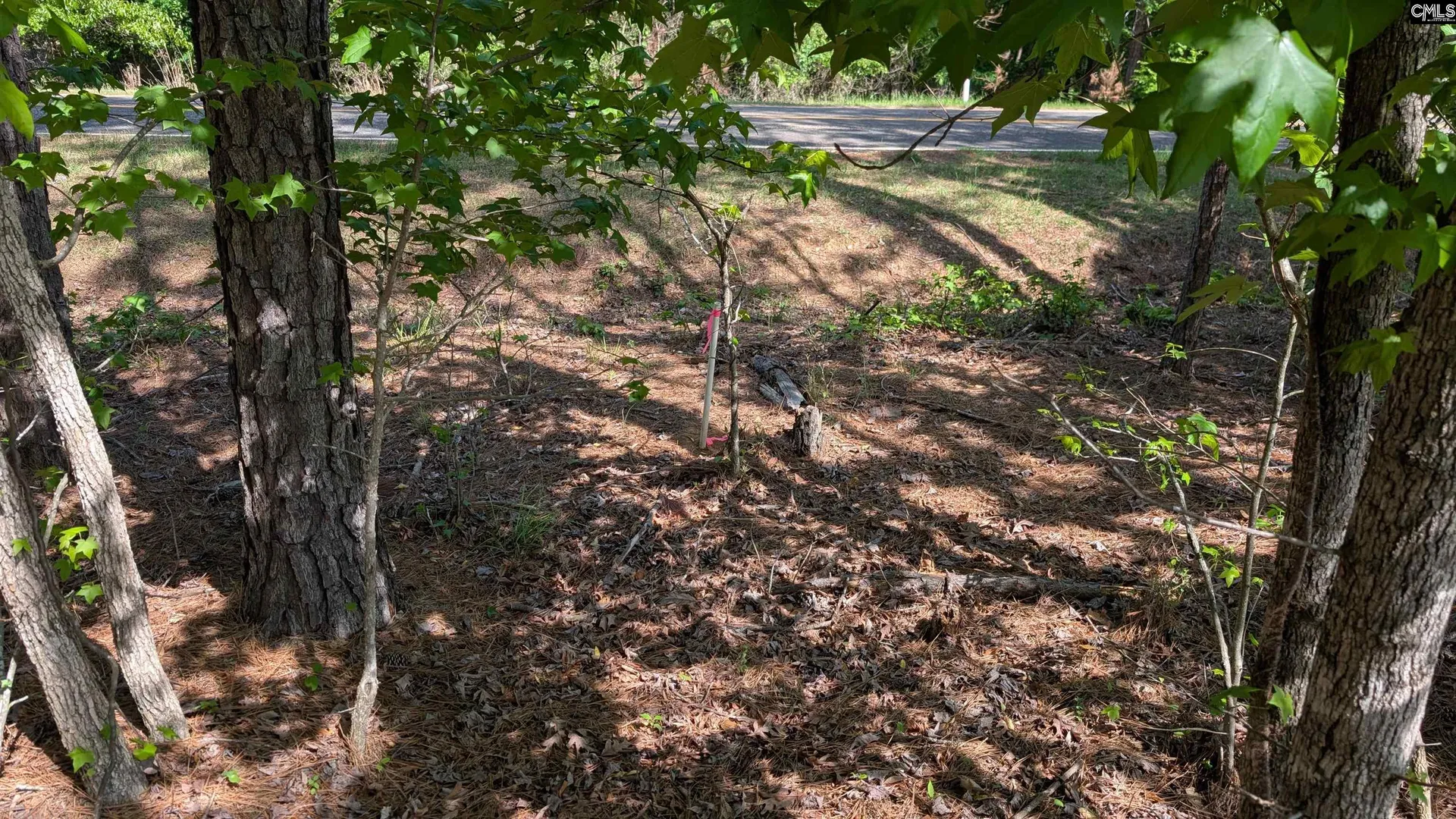 Property image 3 at TBD Rolling Hills Rd, Ridgeway, SC 29130-0000